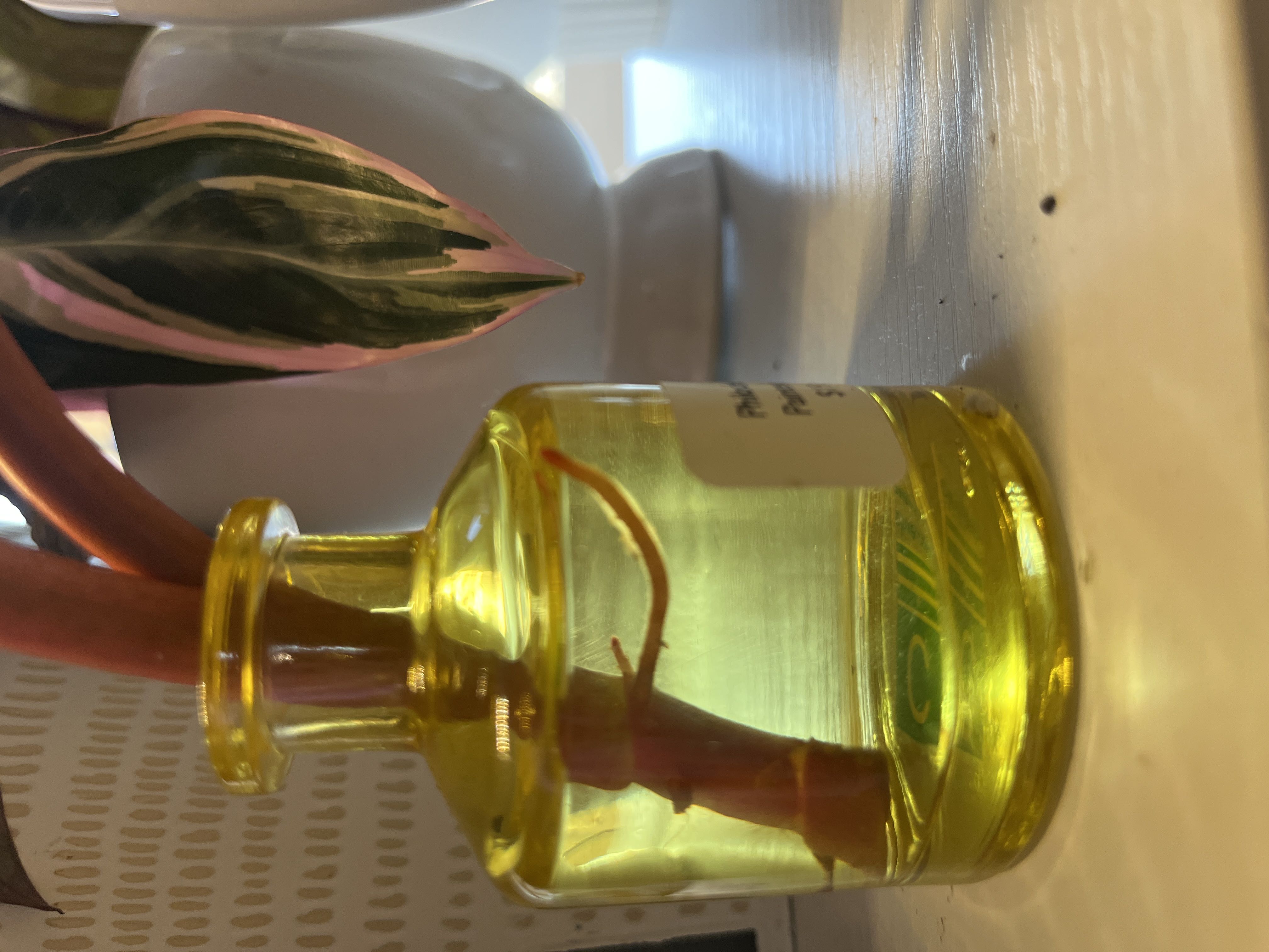 Photo from the post