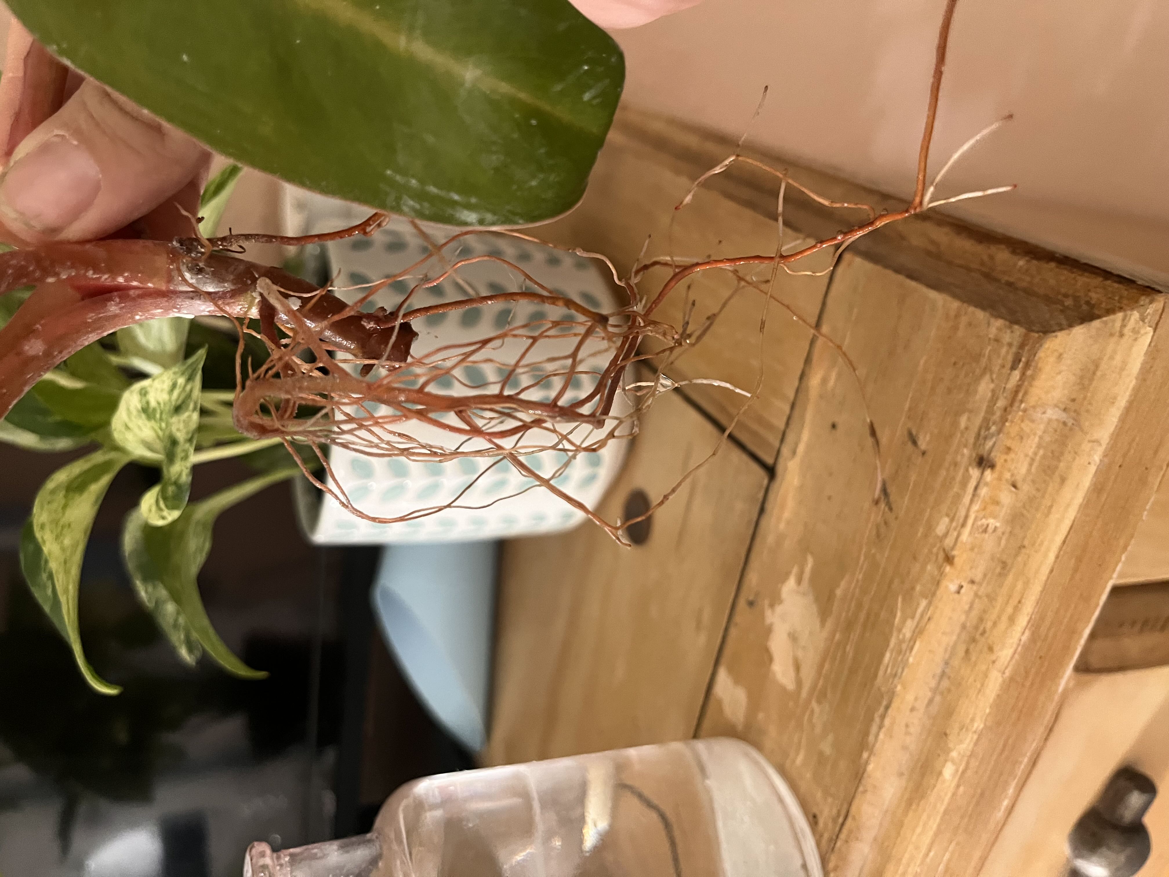 Photo from the post
