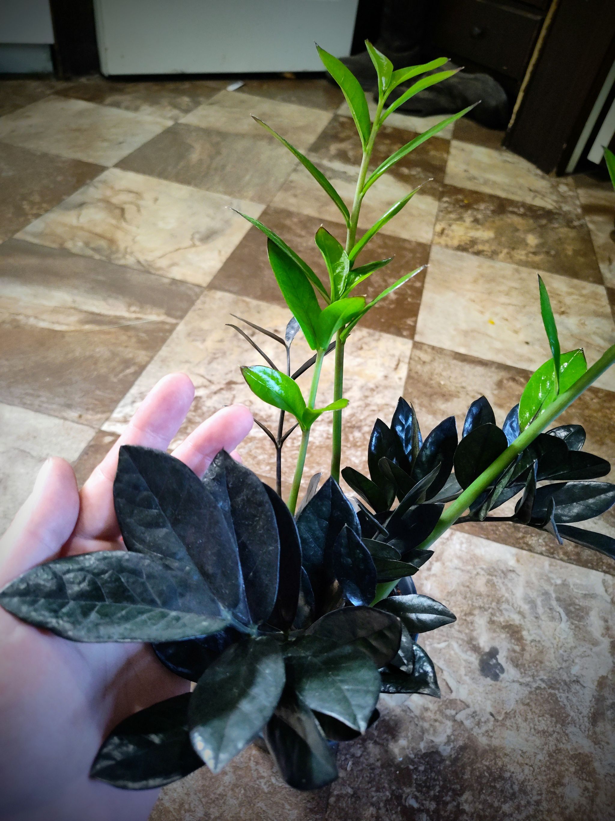 Photo from the post