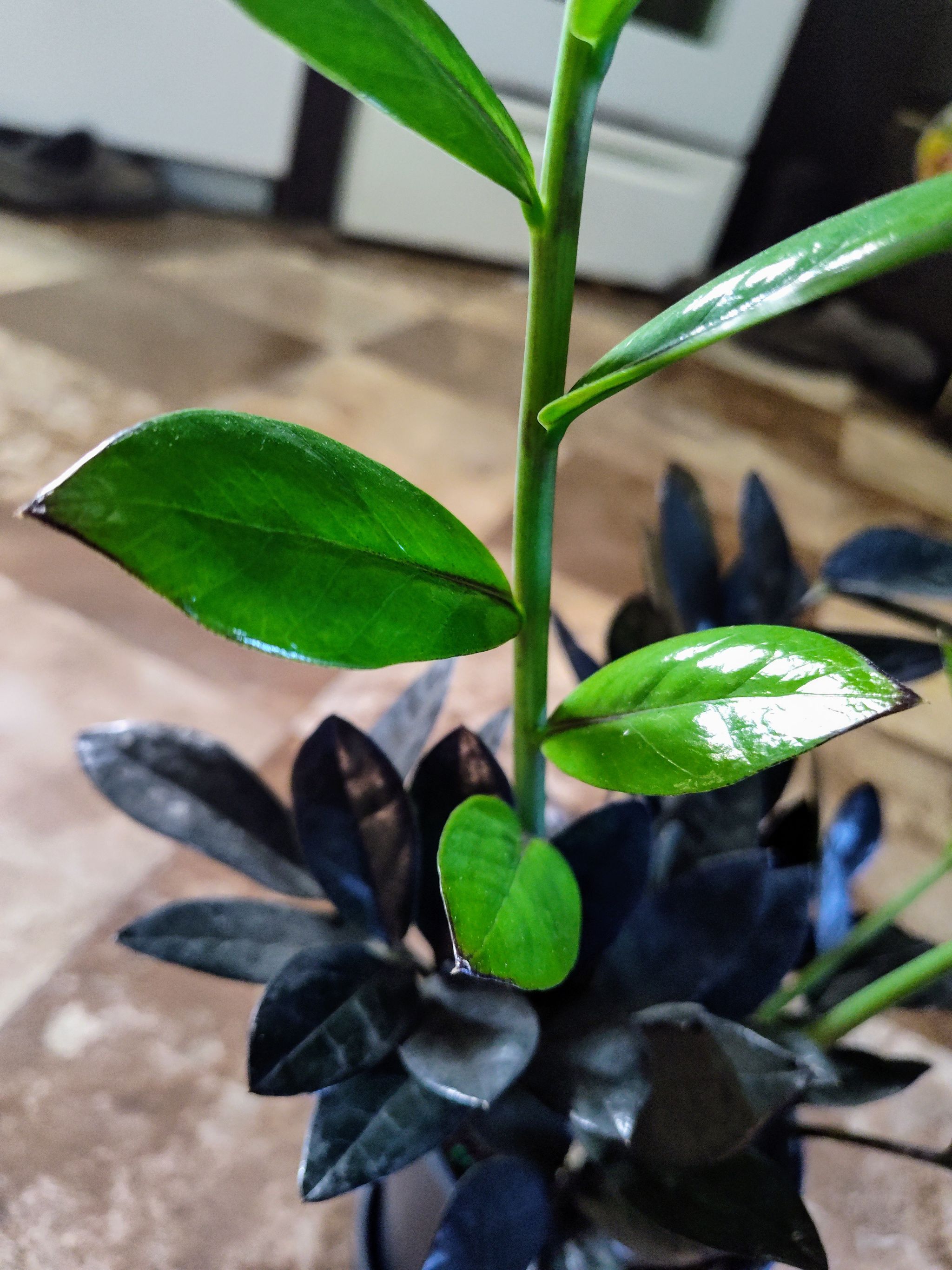Photo from the post