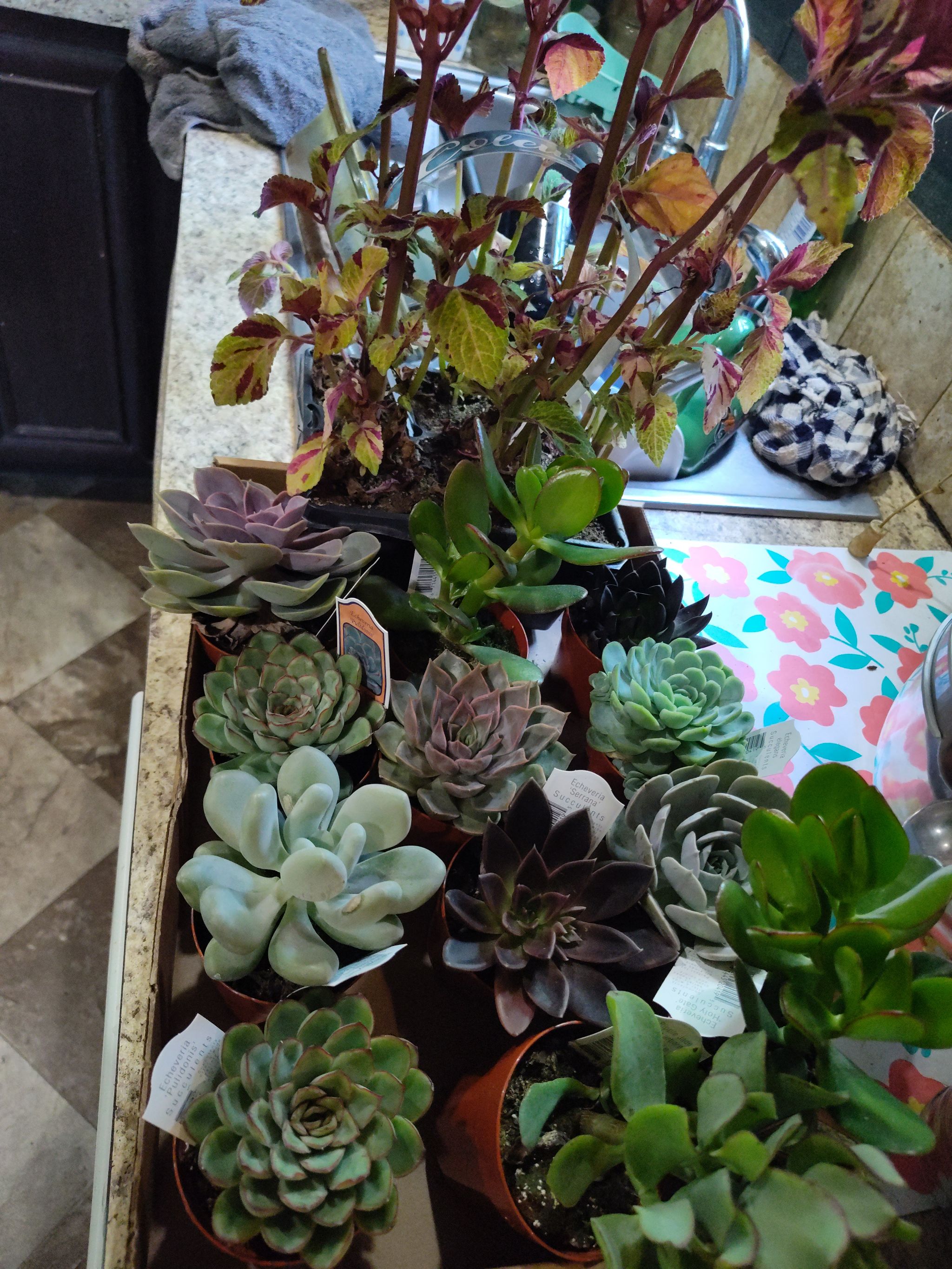Photo from the post