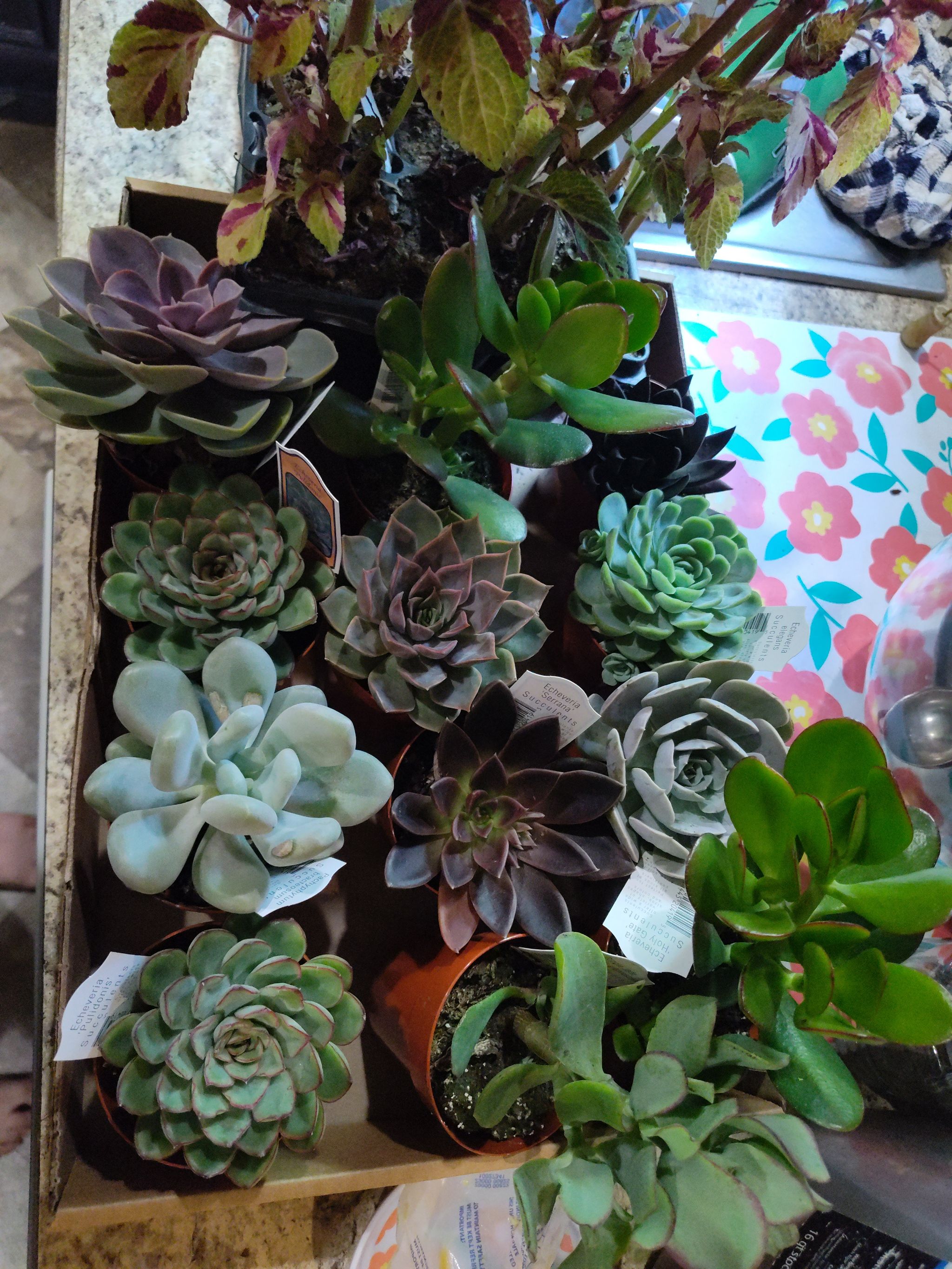 Photo from the post