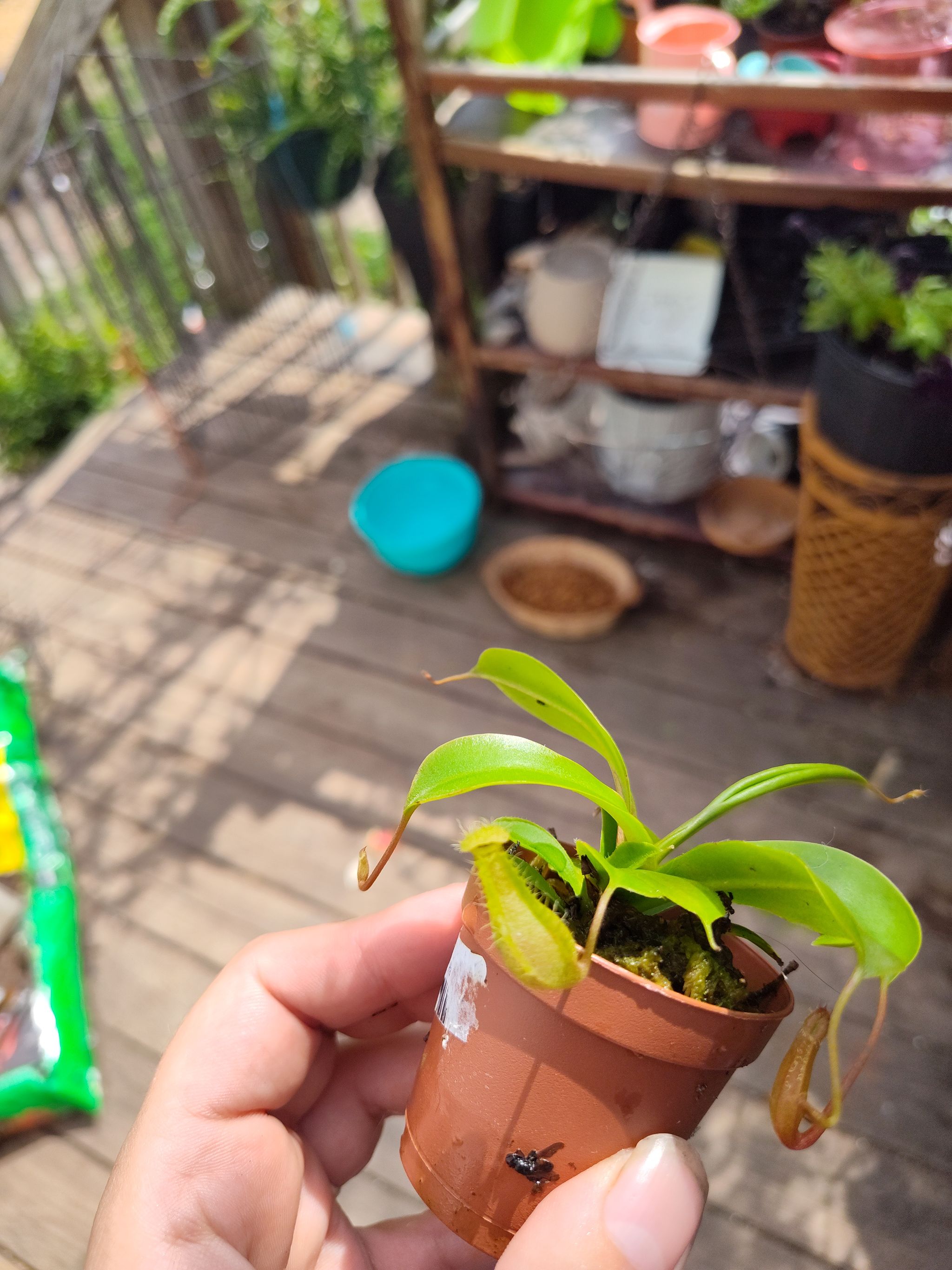 Photo from the post