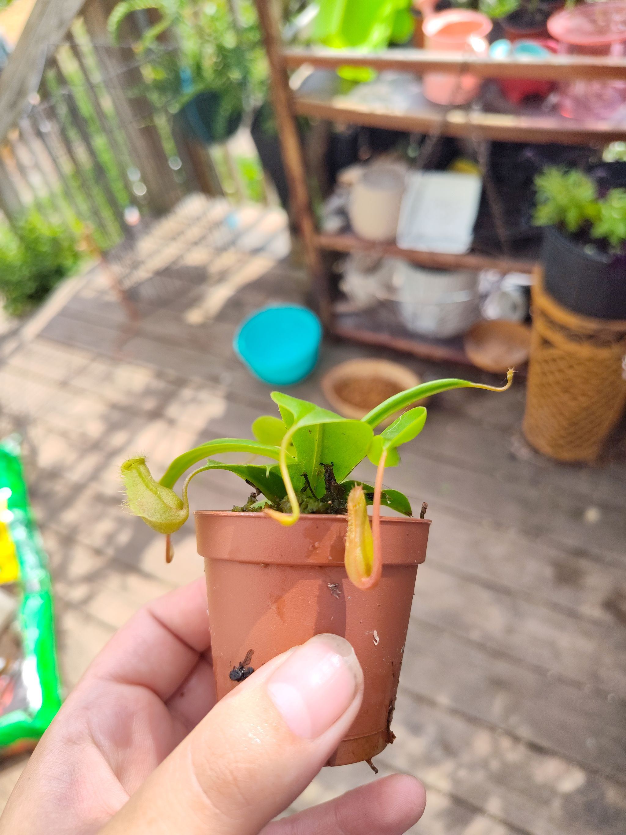 Photo from the post
