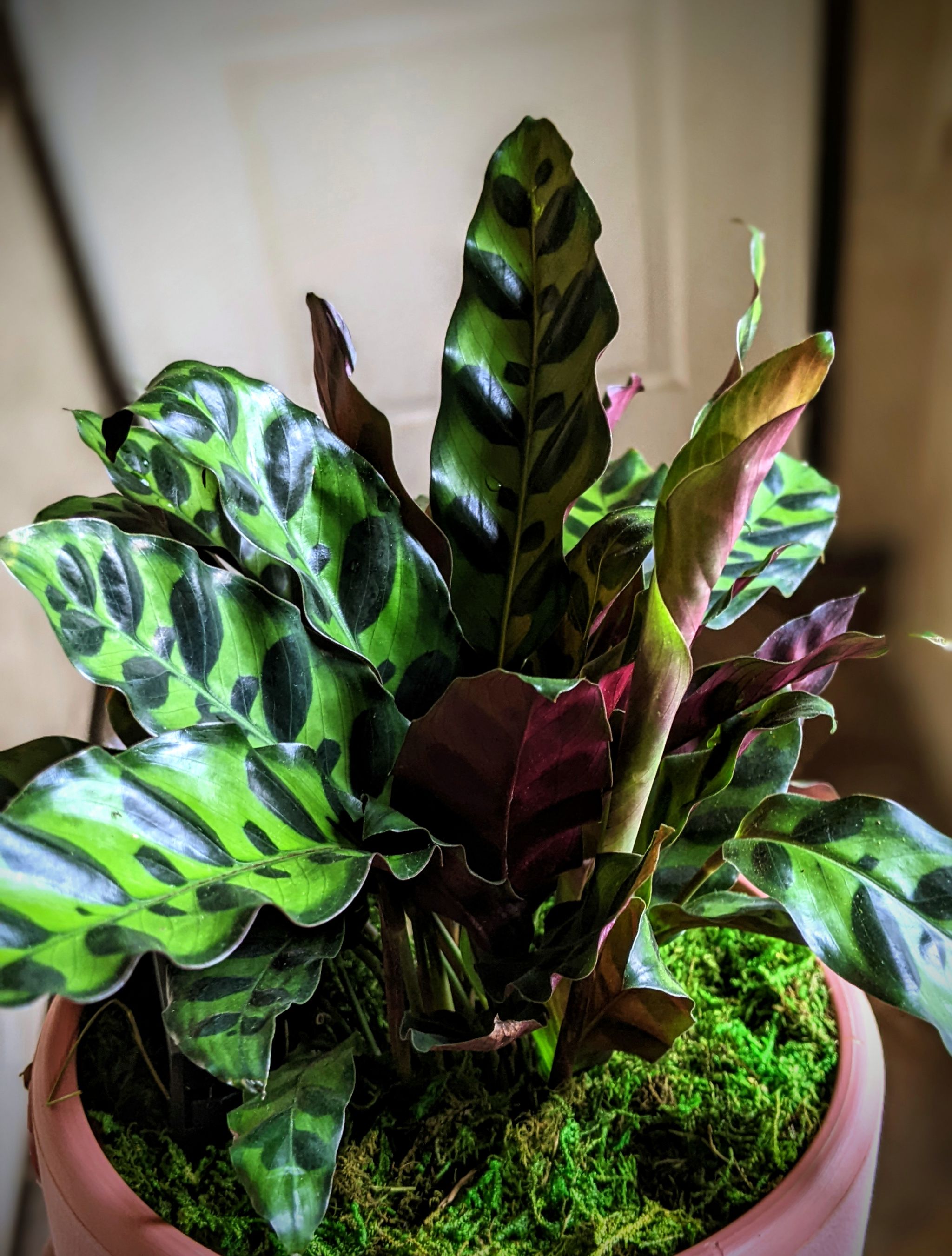 Photo from the post