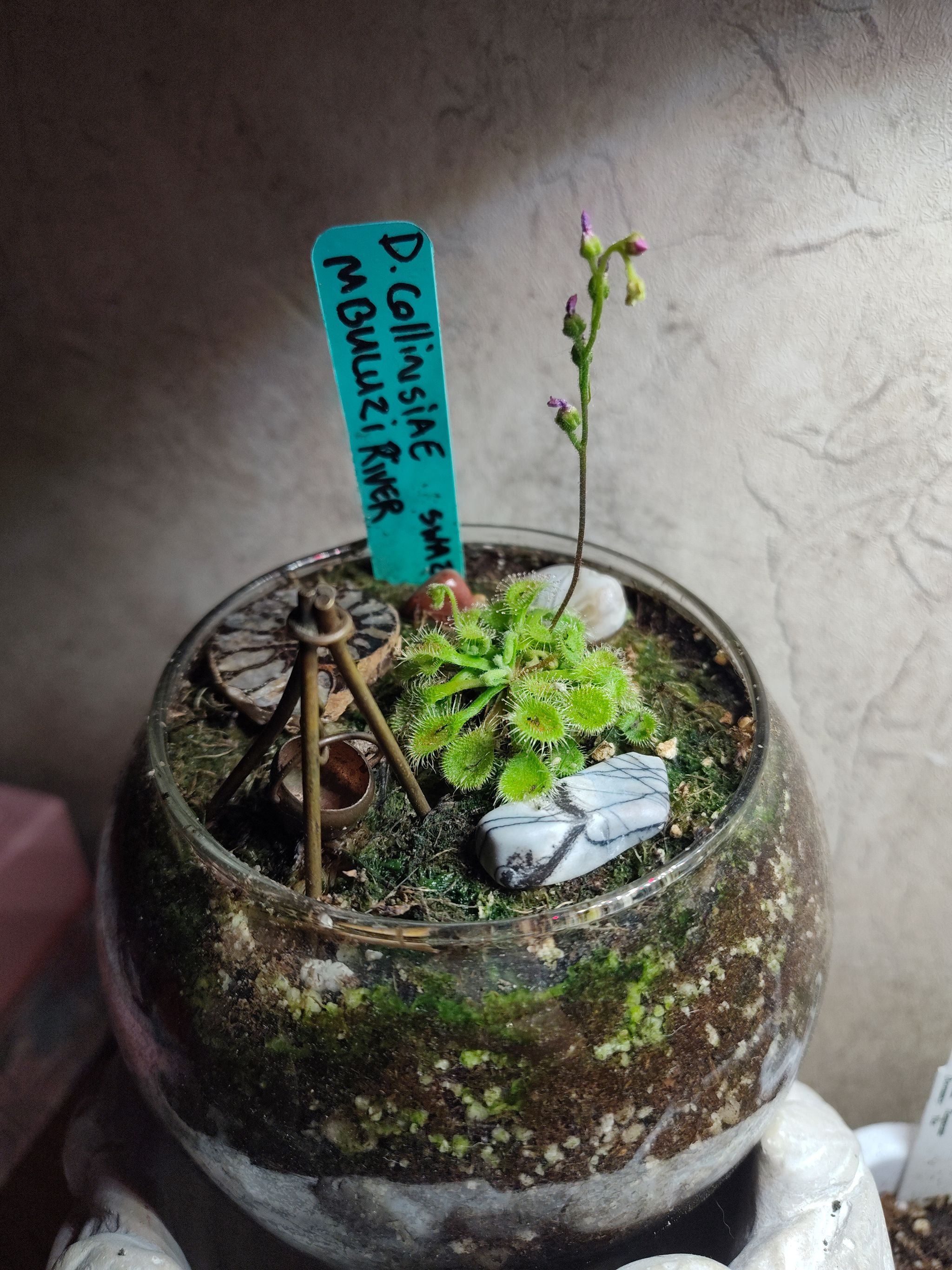 Photo from the post