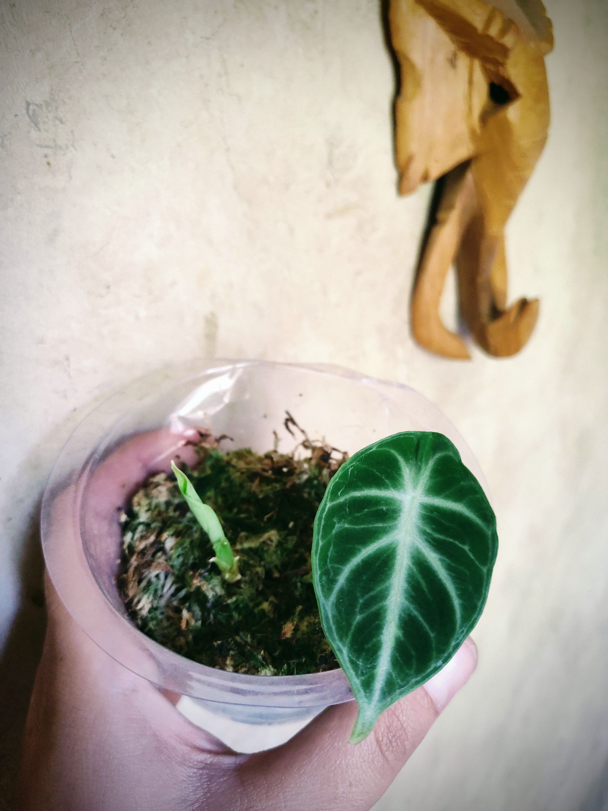 Photo from the post