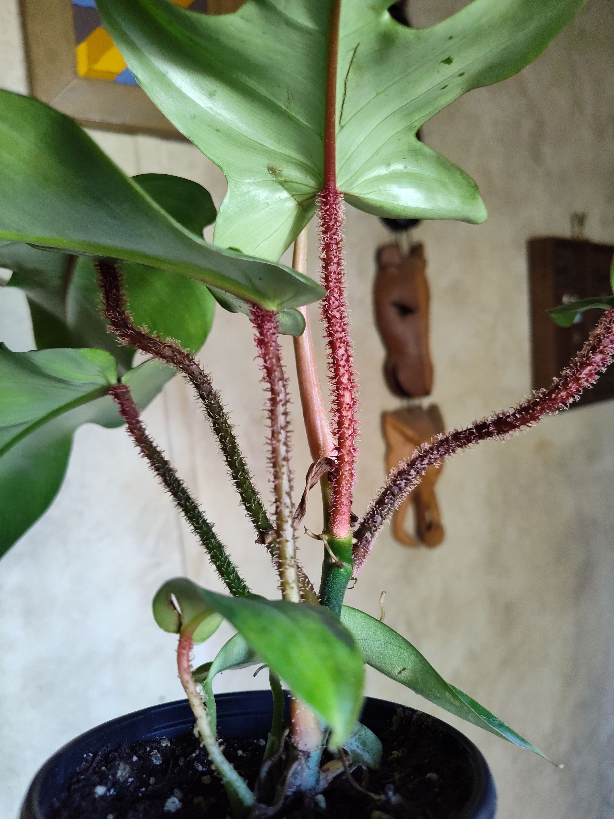 Photo from the post