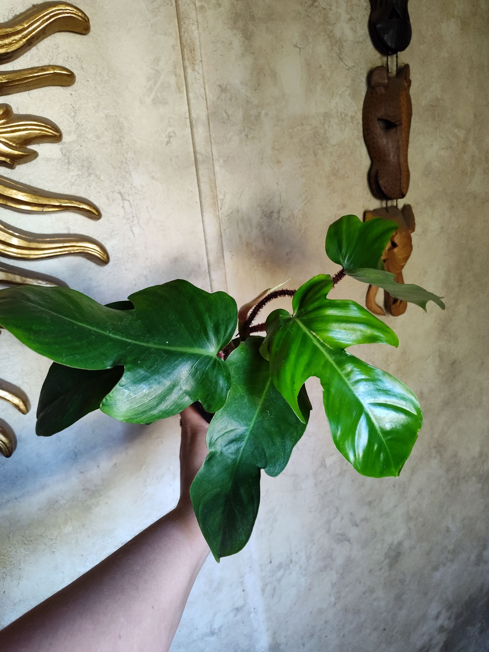 Photo from the post