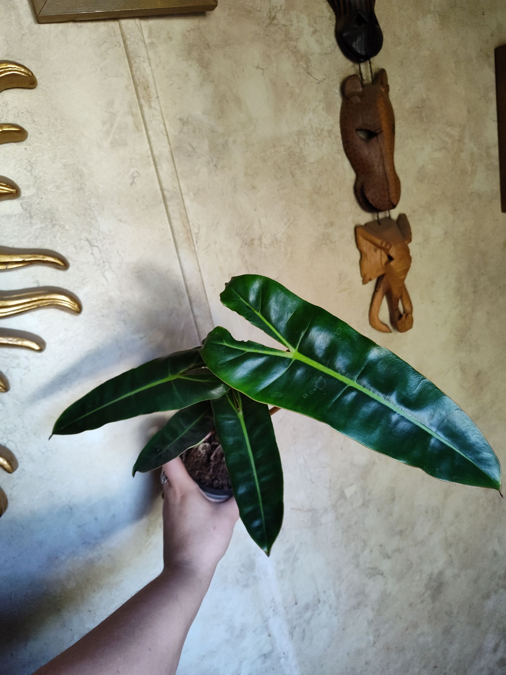 Photo from the post