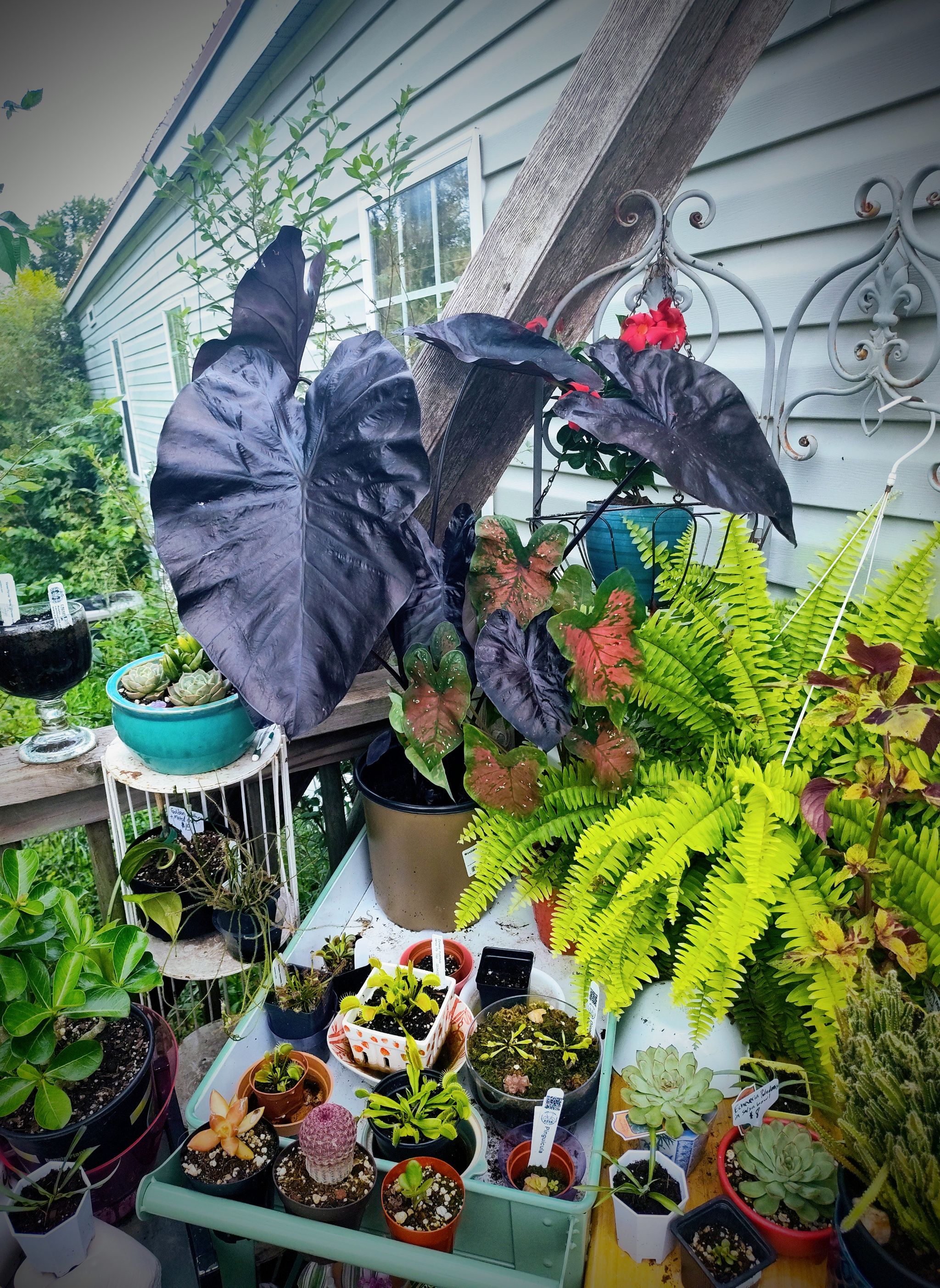 Photo from the post