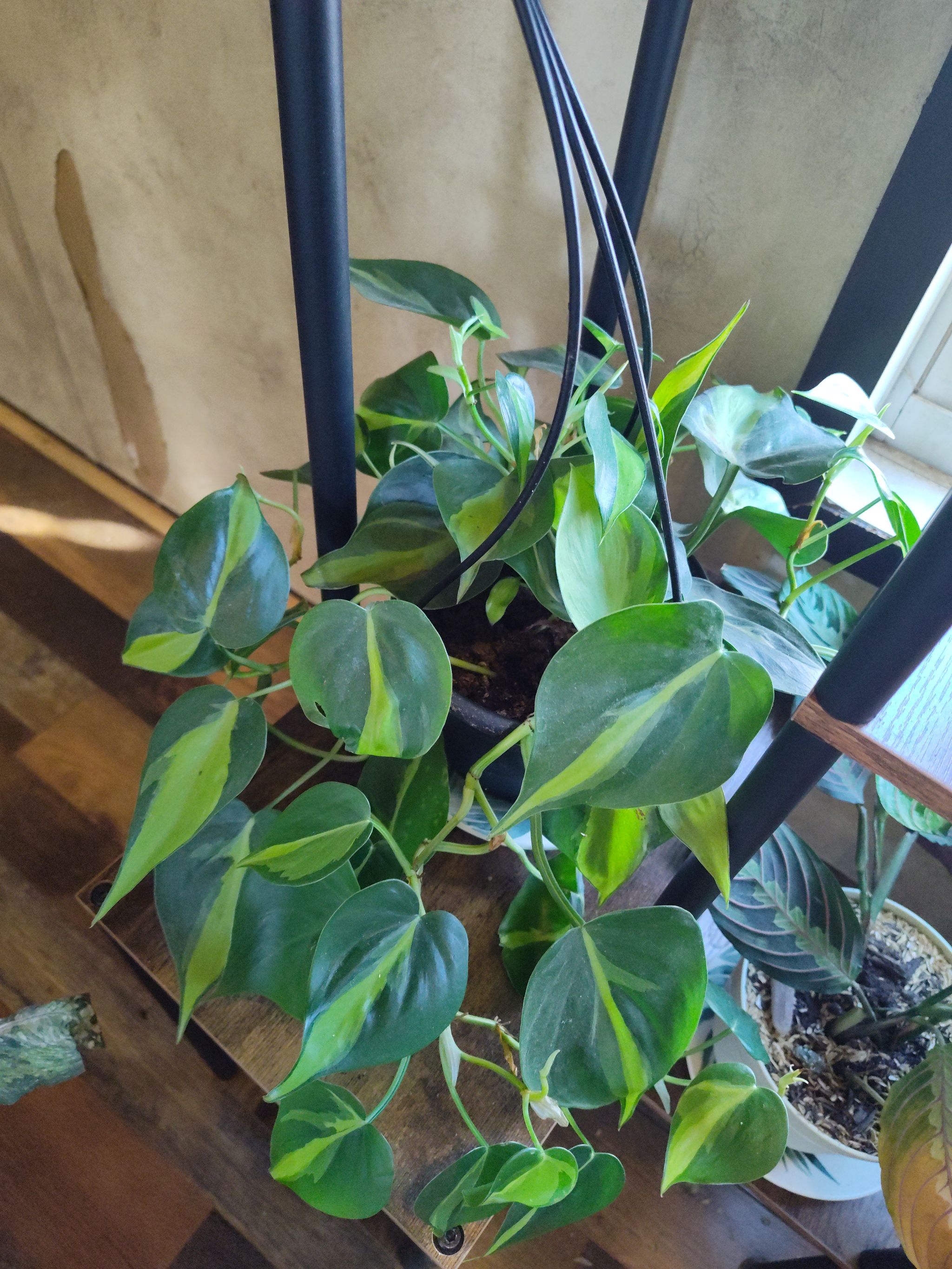 Photo from the post