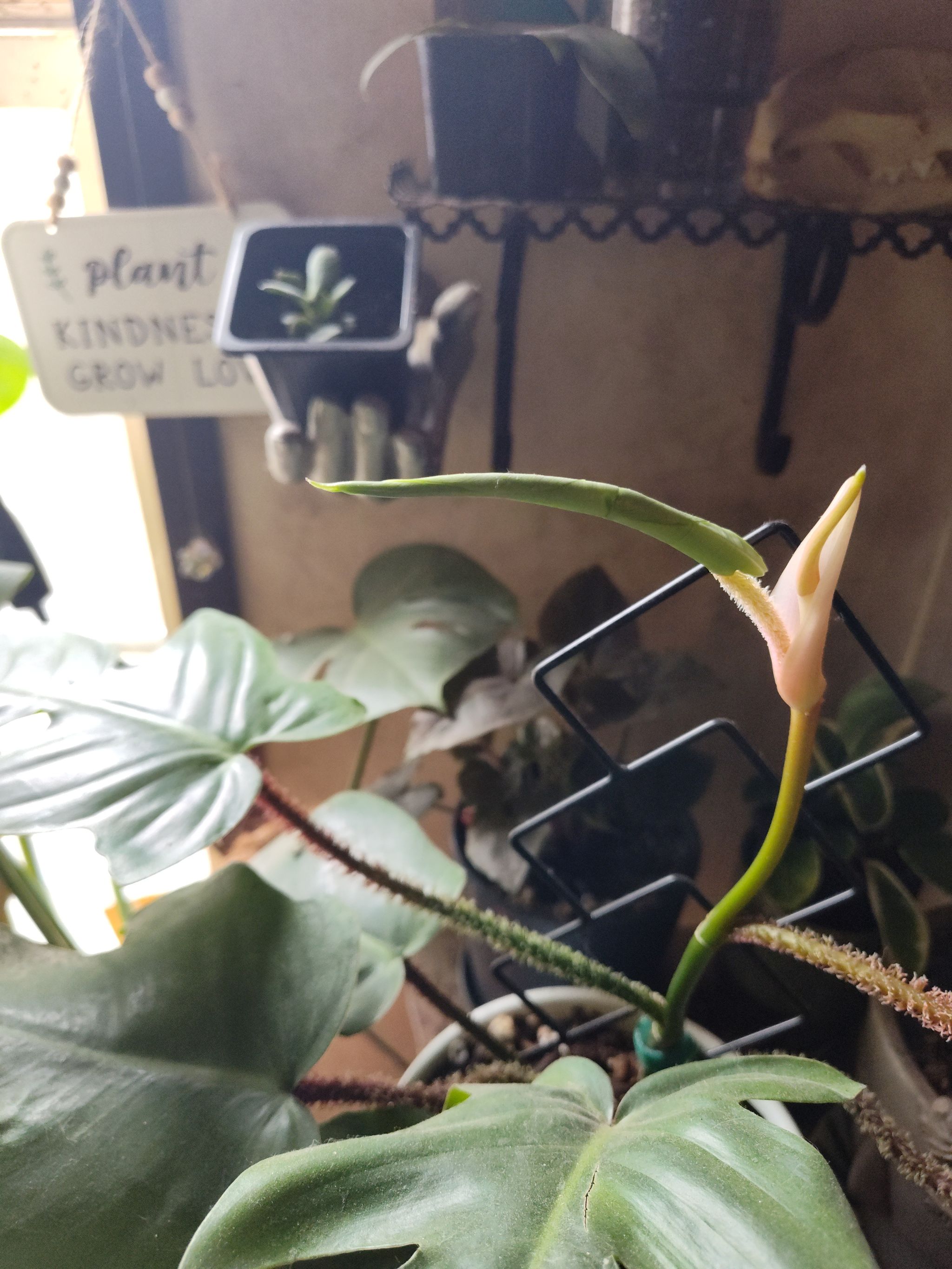 Photo from the post