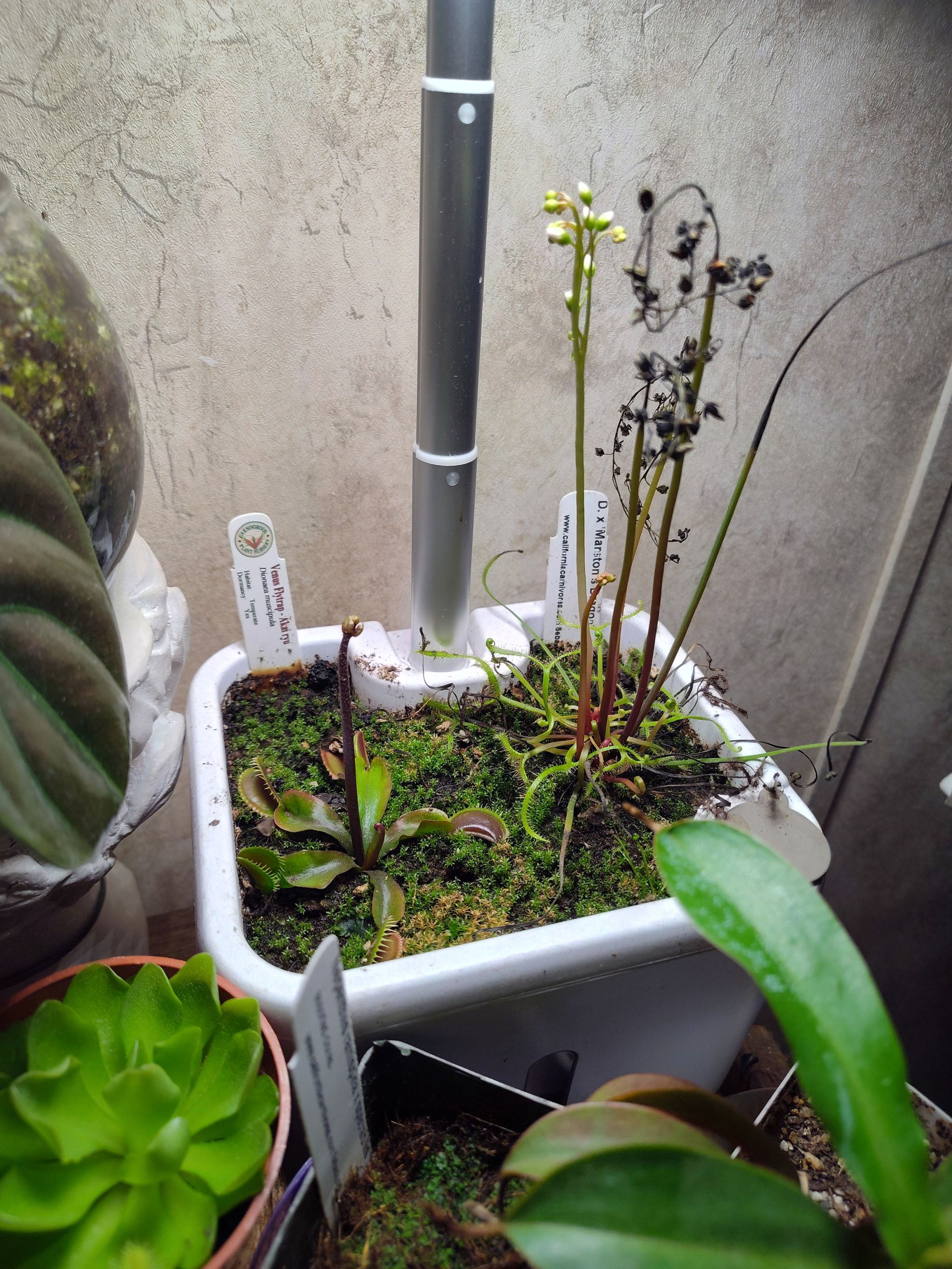 Photo from the post