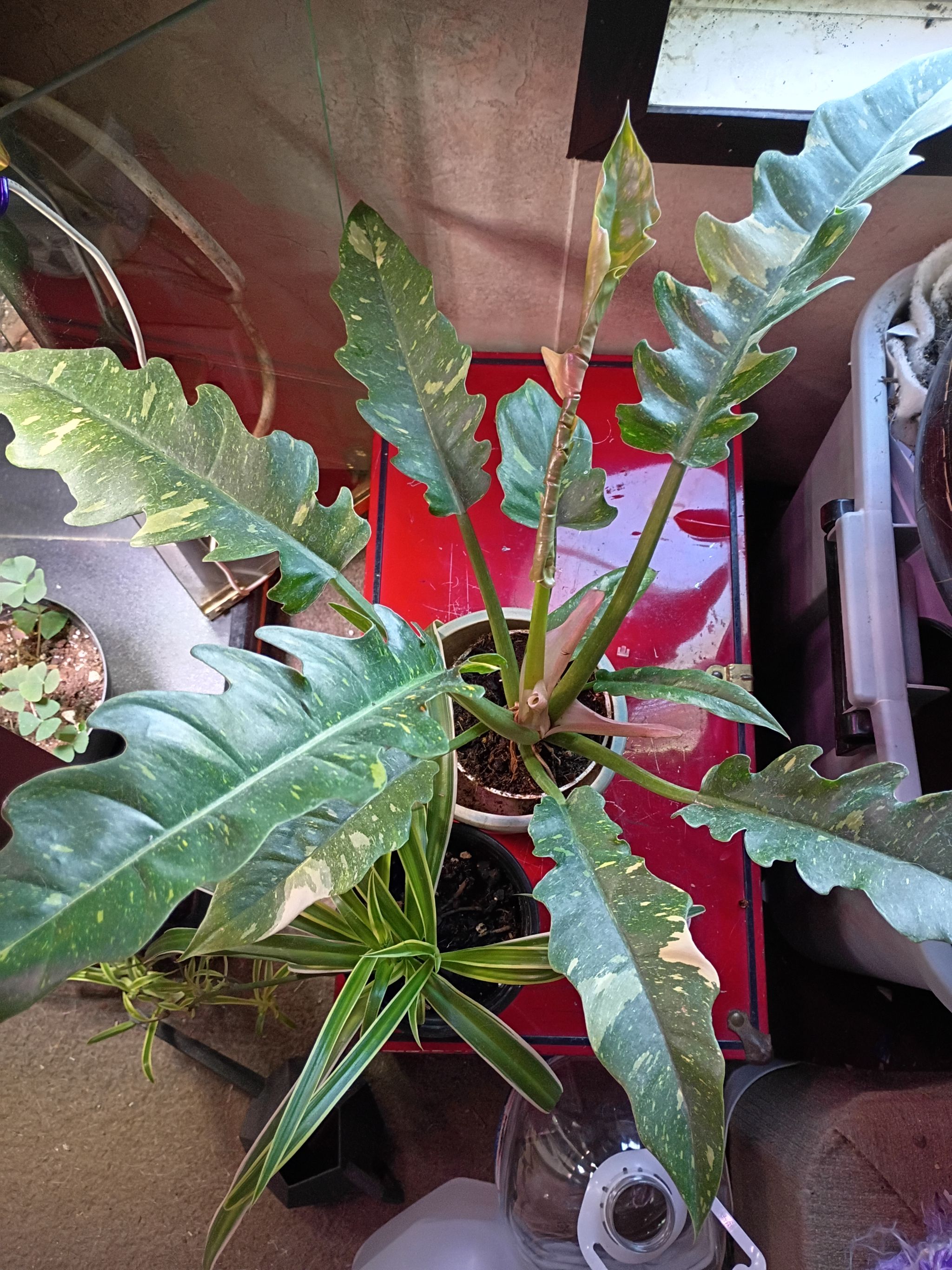 Photo from the post