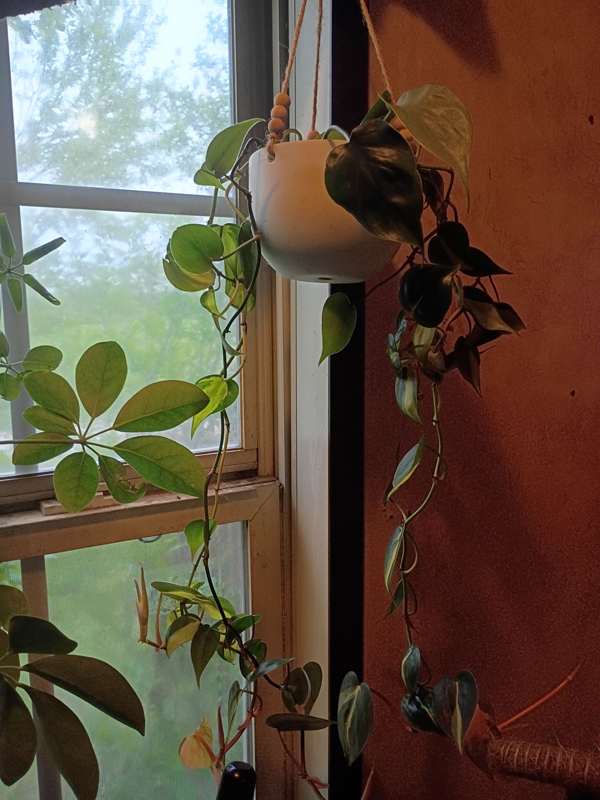 Photo from the post