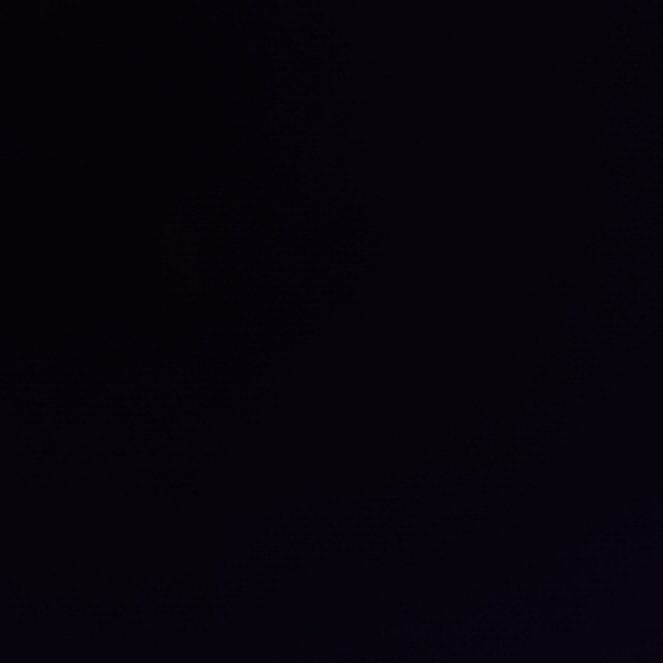 Photo of the plant species Pennyroyal by @DapperBlackpine named Scarlett on Greg, the plant care app