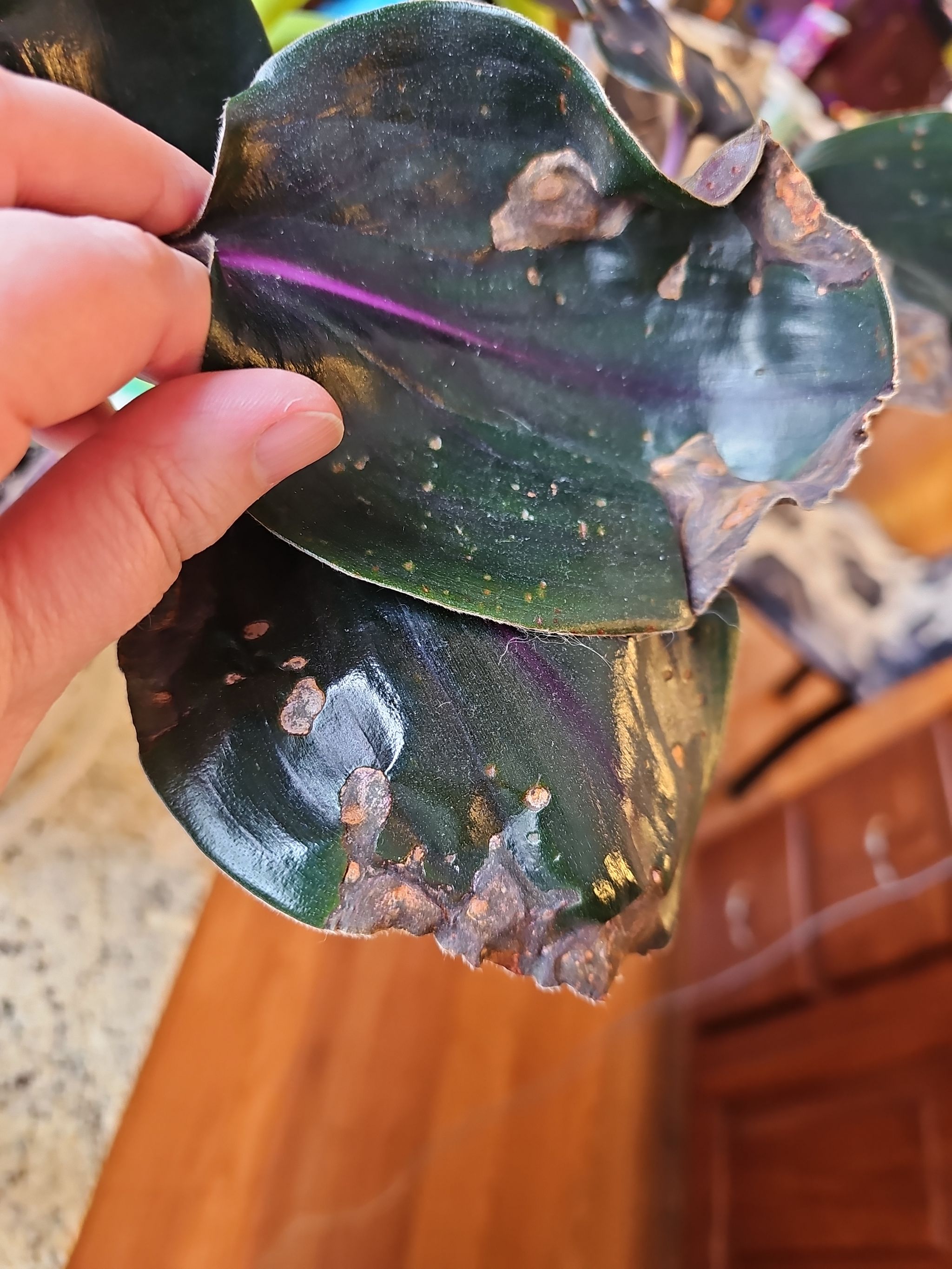Photo from the post