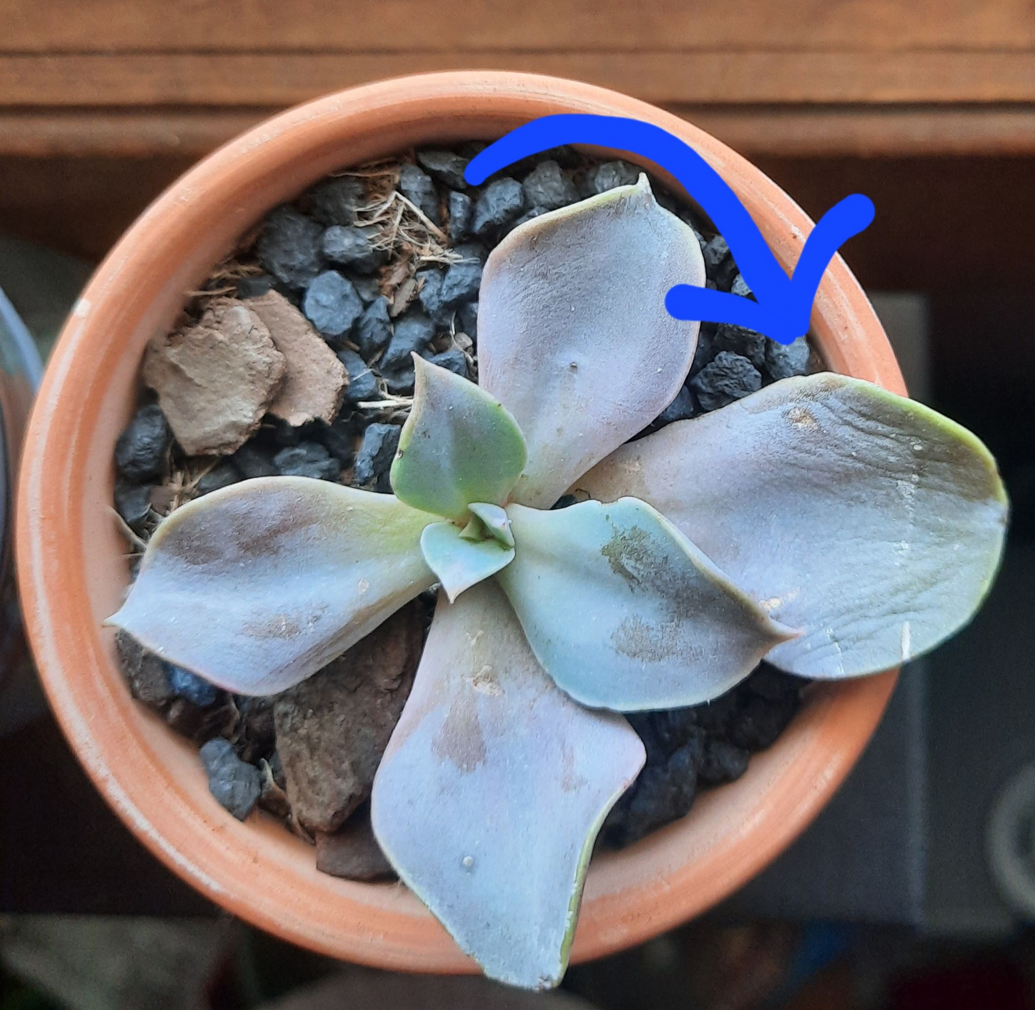 Photo from the post