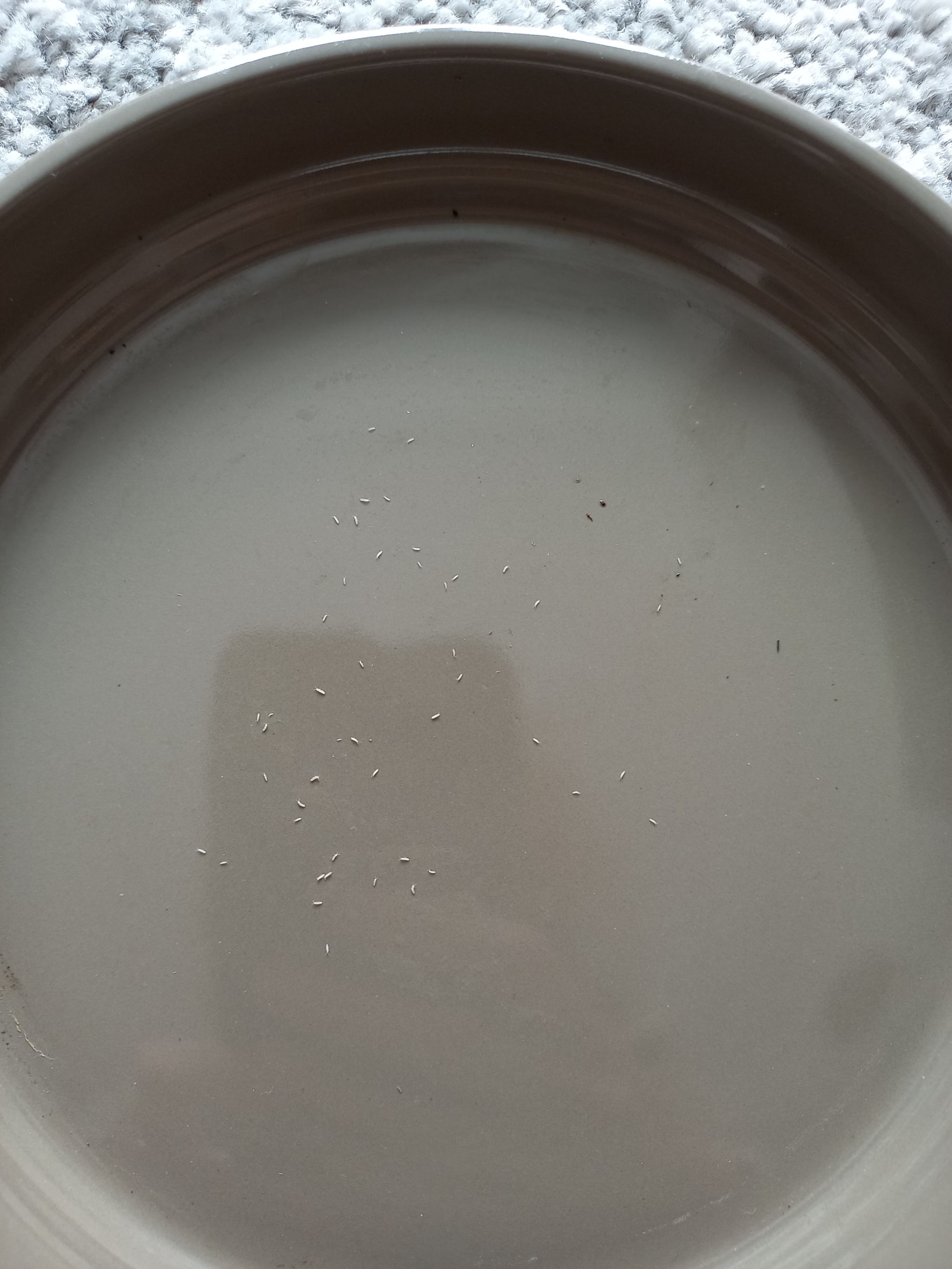 Photo from the post