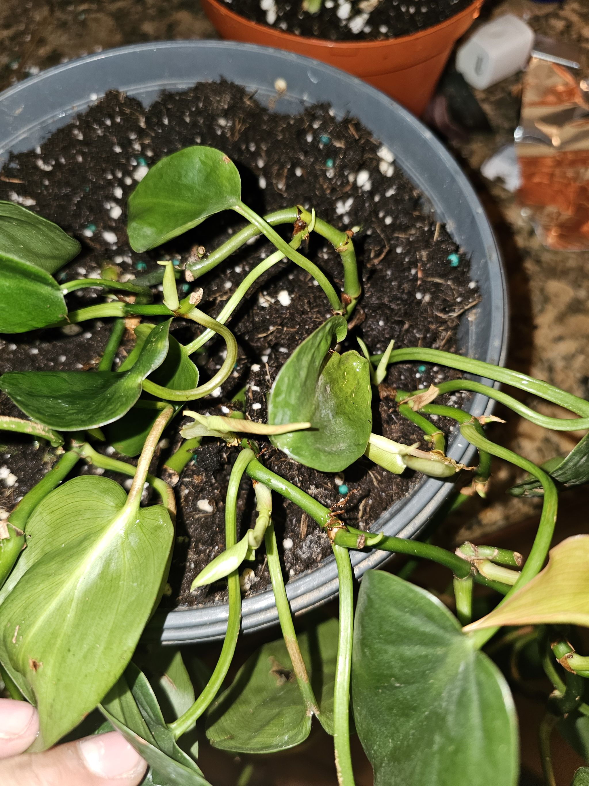 Photo from the post