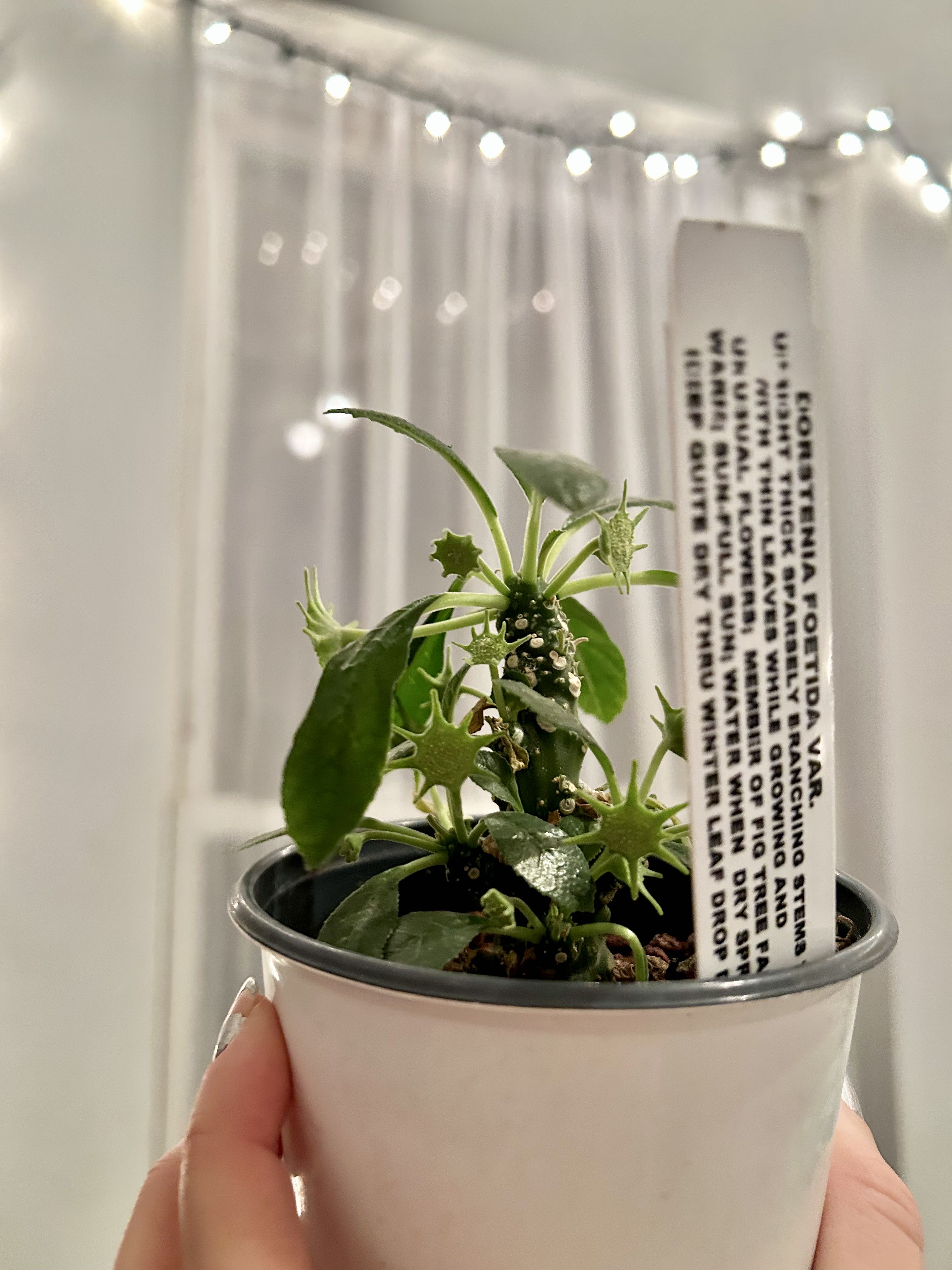 Photo from the post