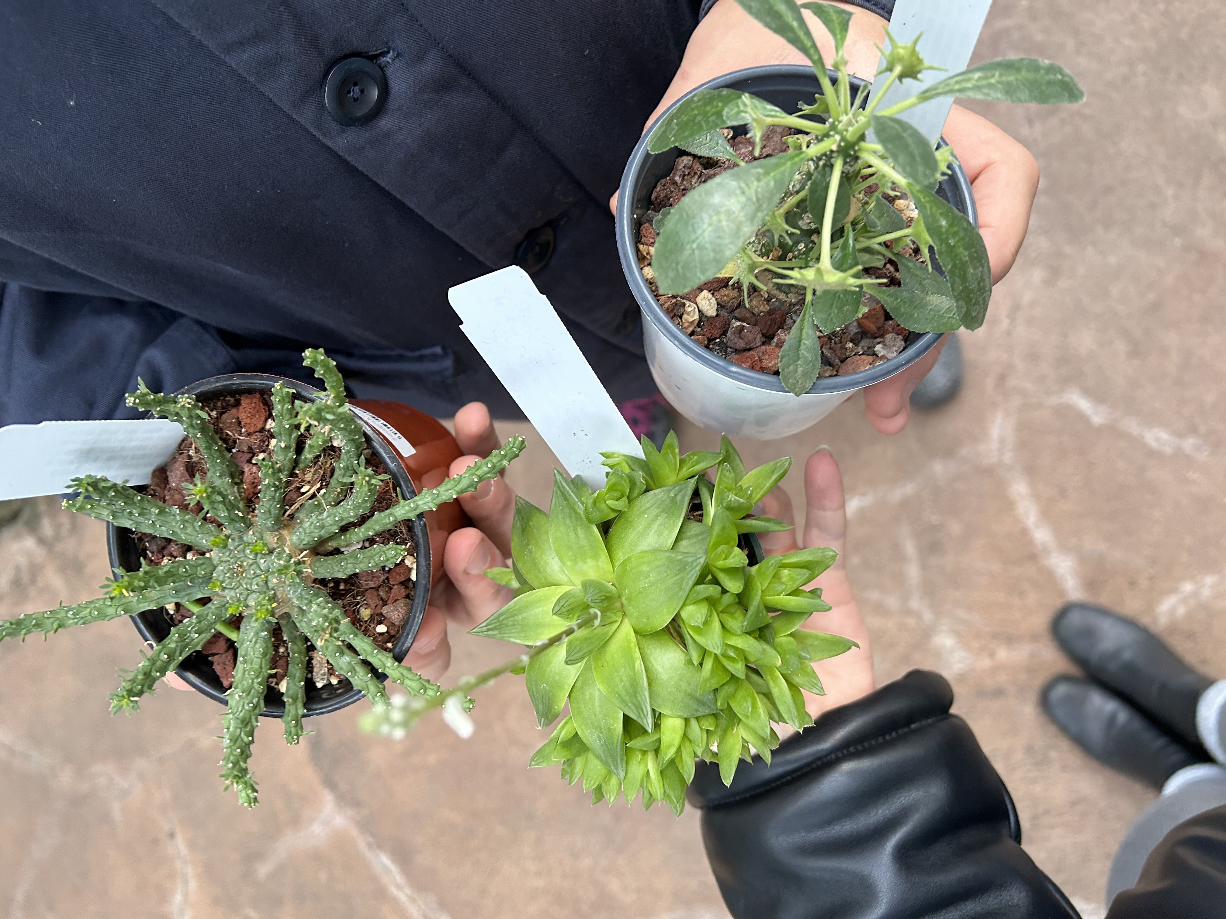 Photo from the post