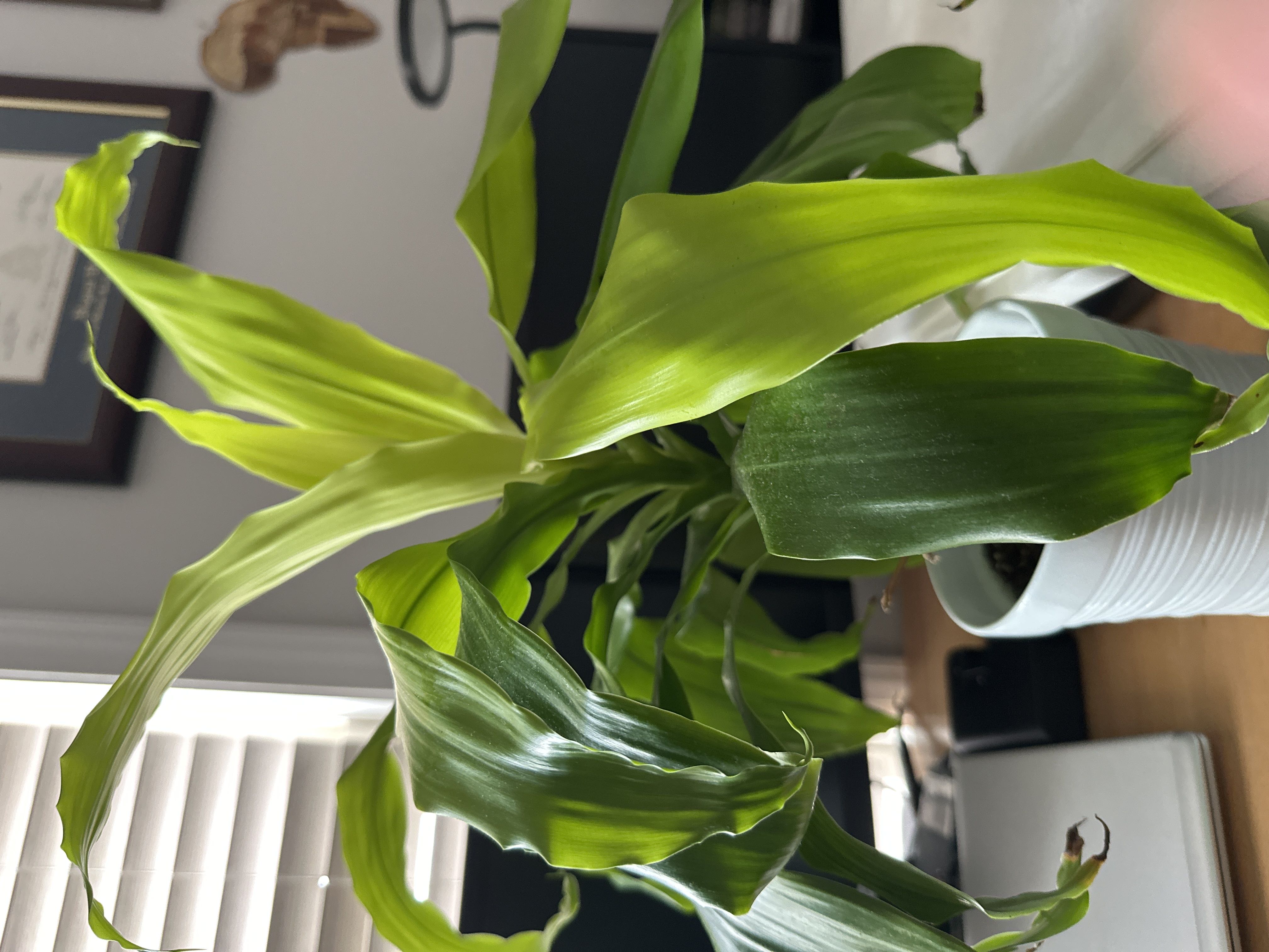 Photo from the post