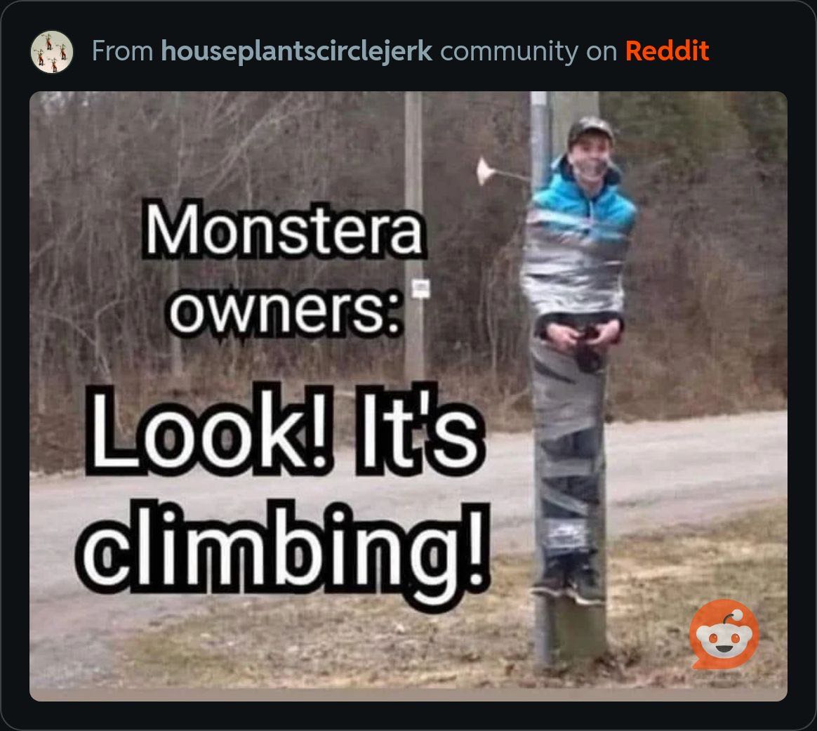 Photo from the post