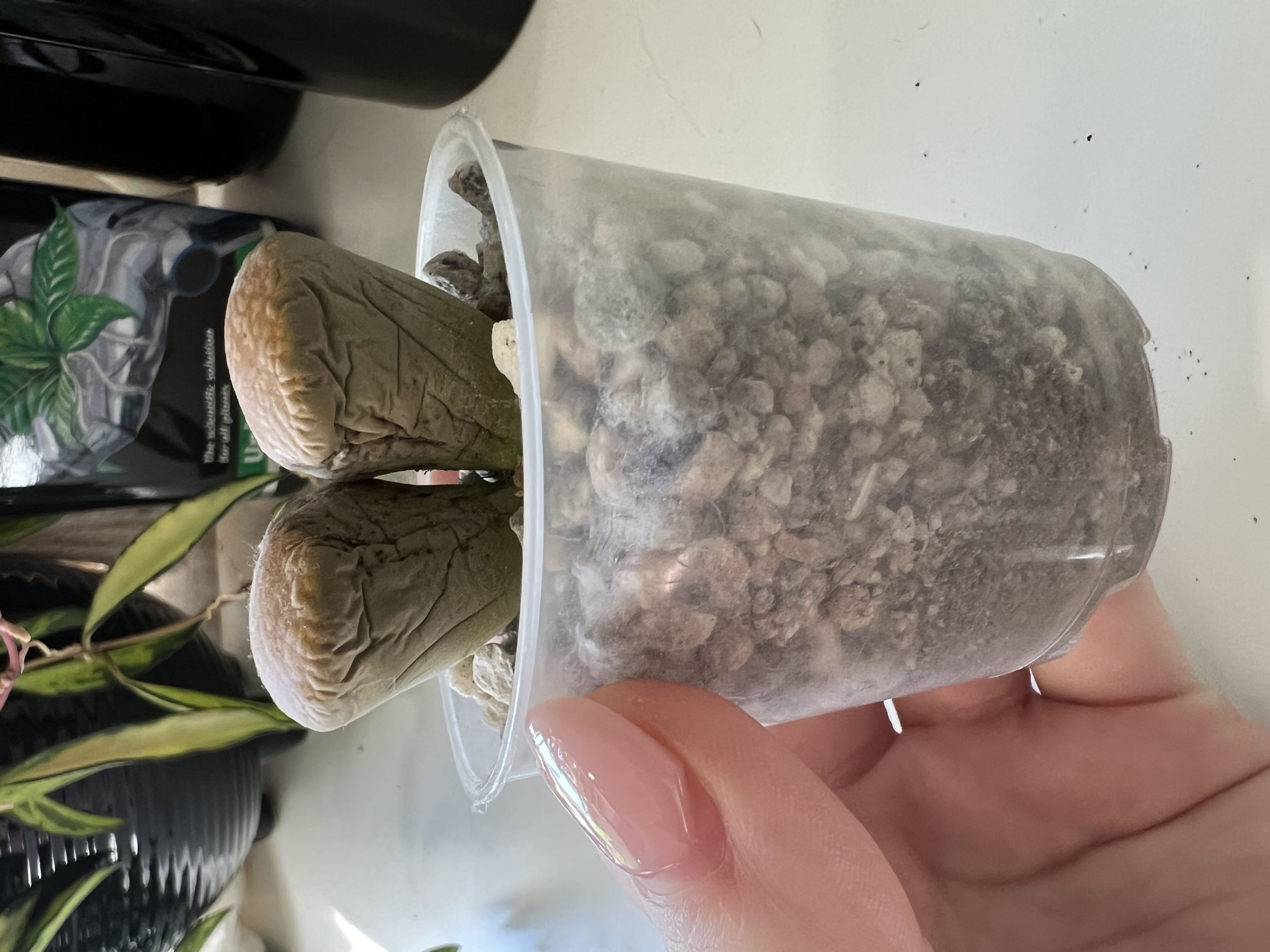 Photo from the post