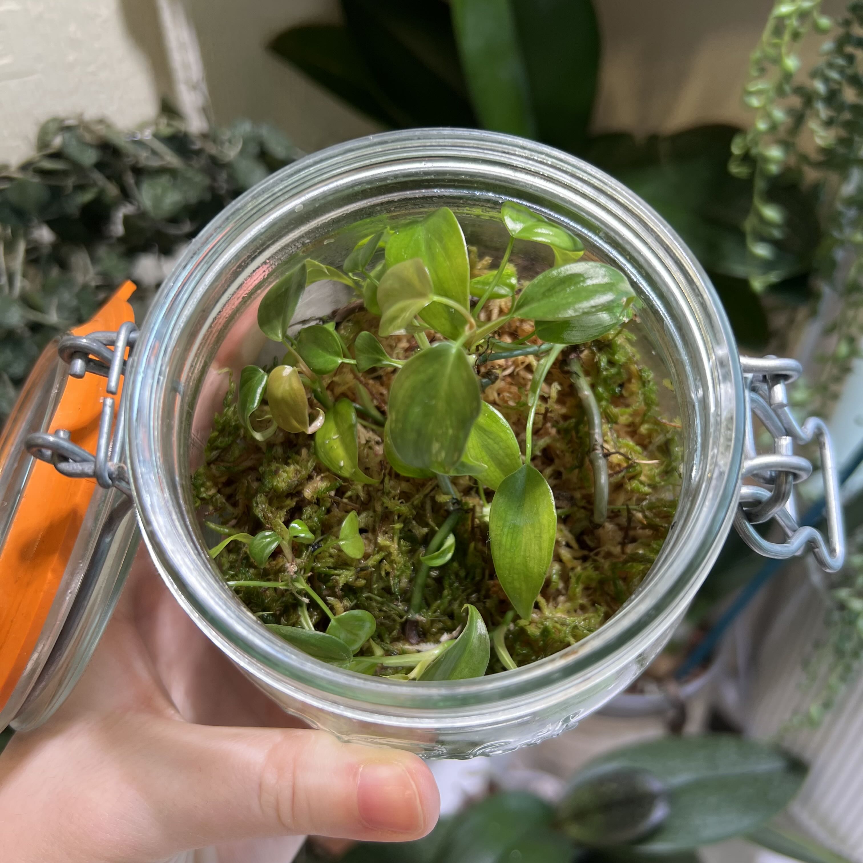 Photo from the post