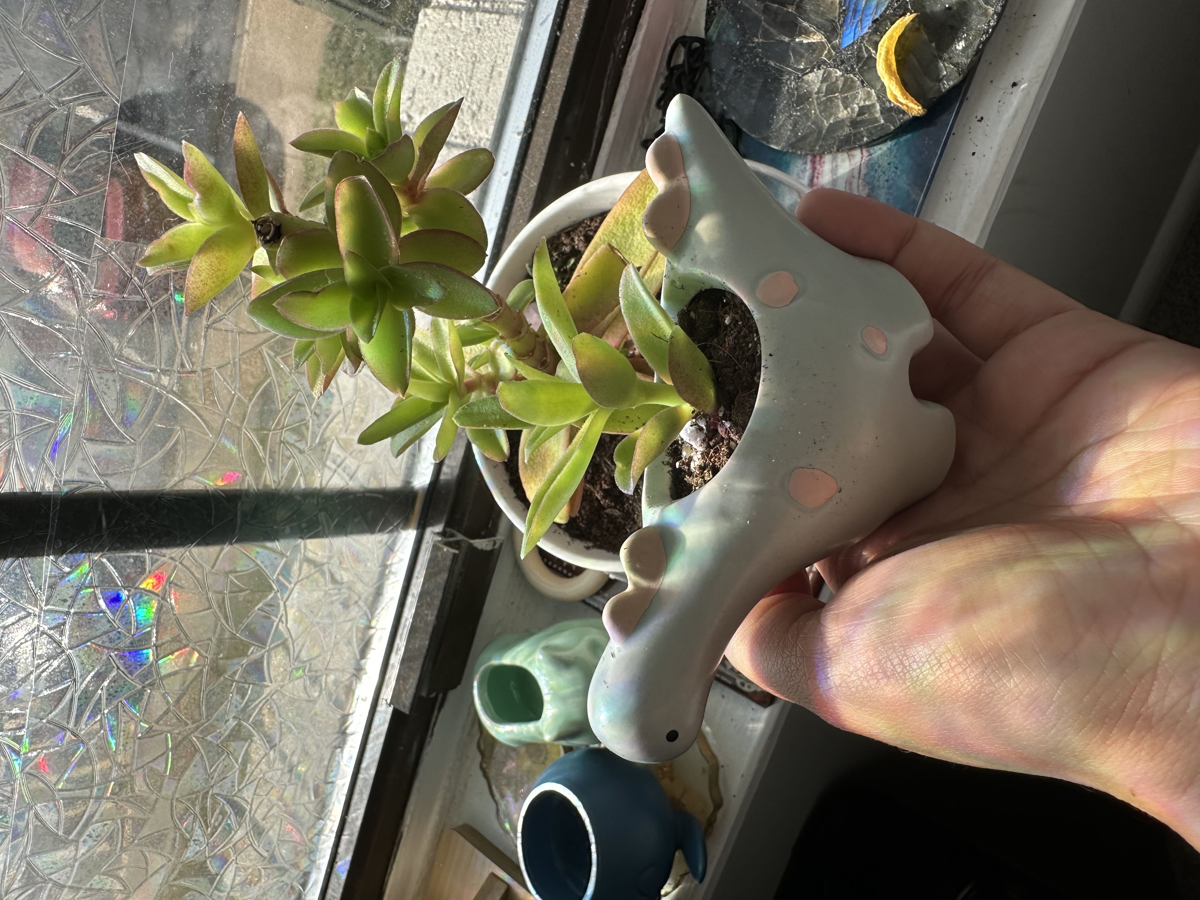 Photo from the post