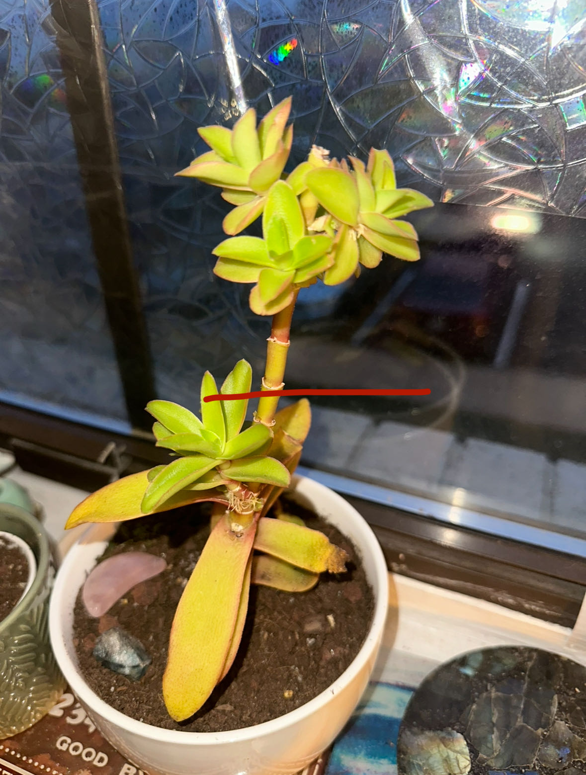 Photo from the post
