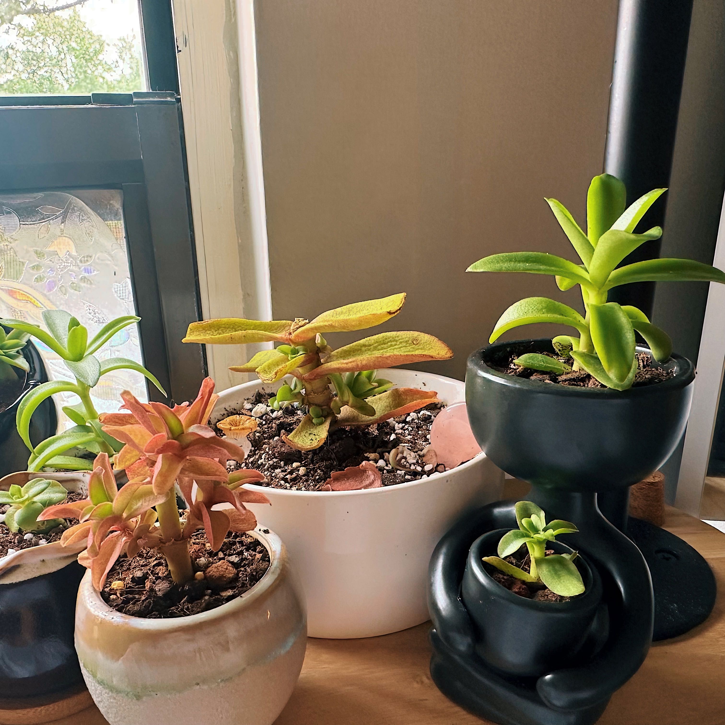 Photo from the post