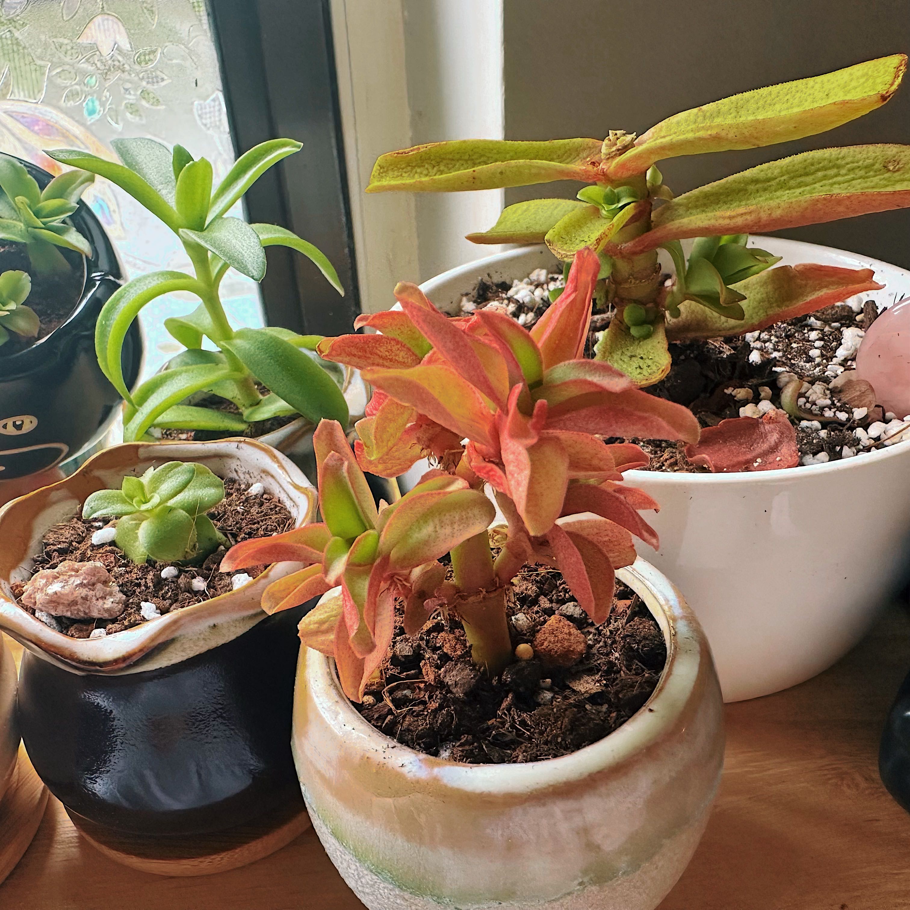 Photo from the post