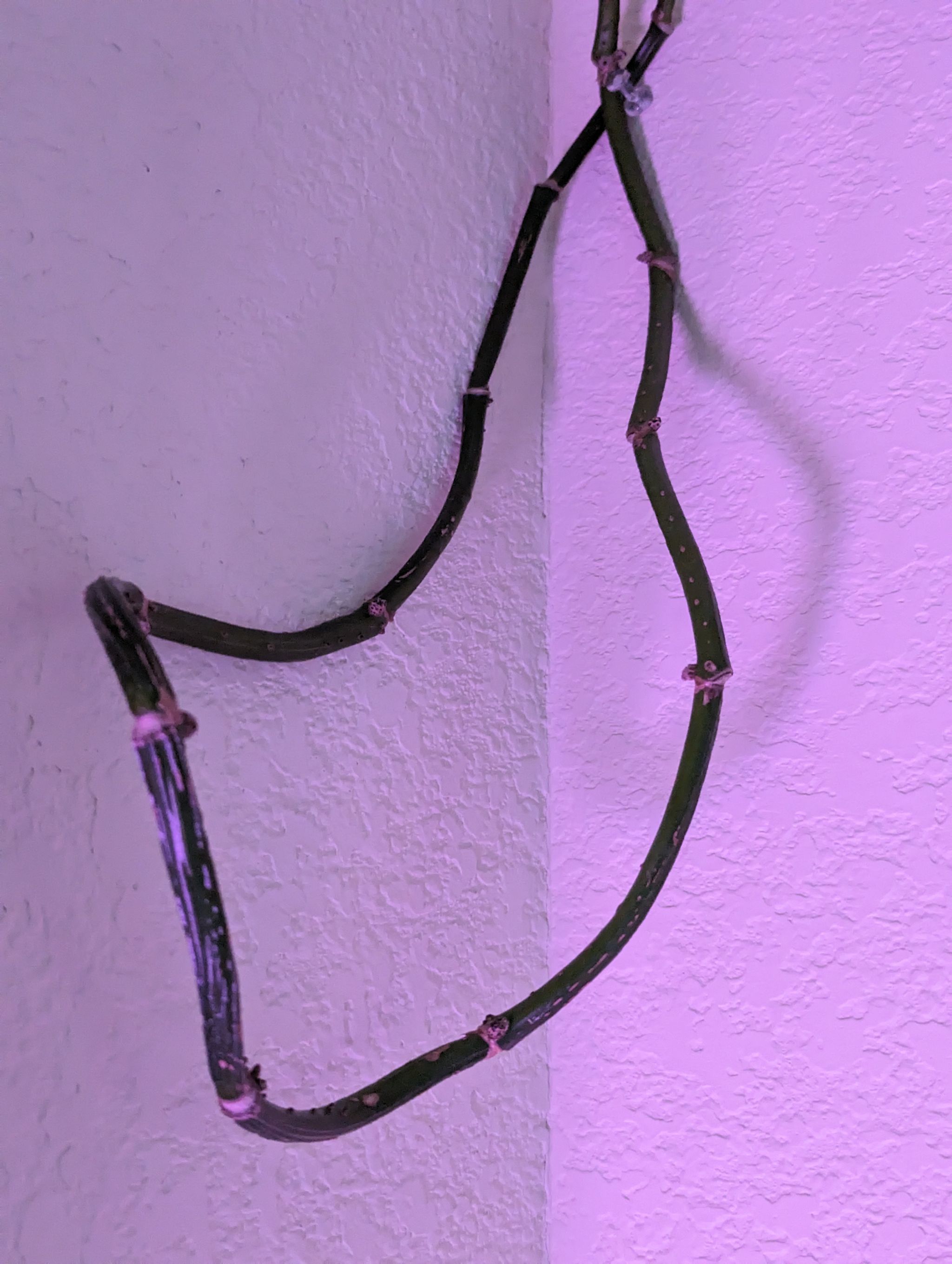 Photo from the post