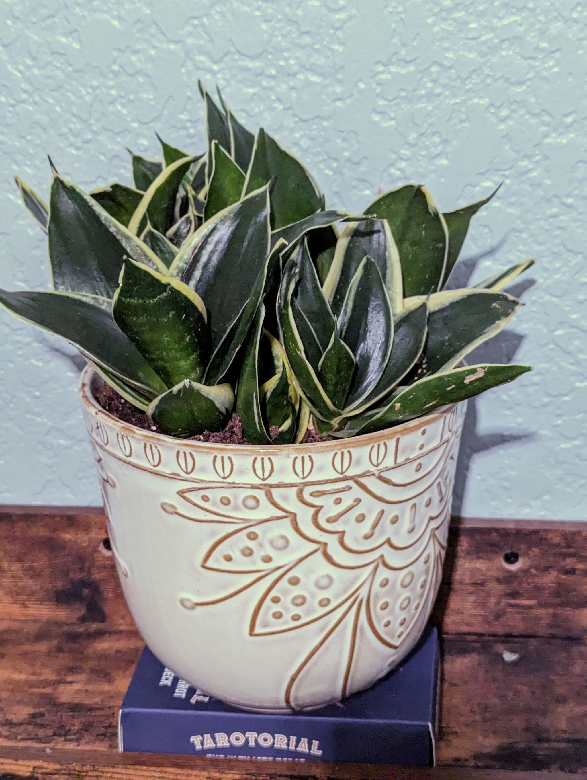Photo from the post