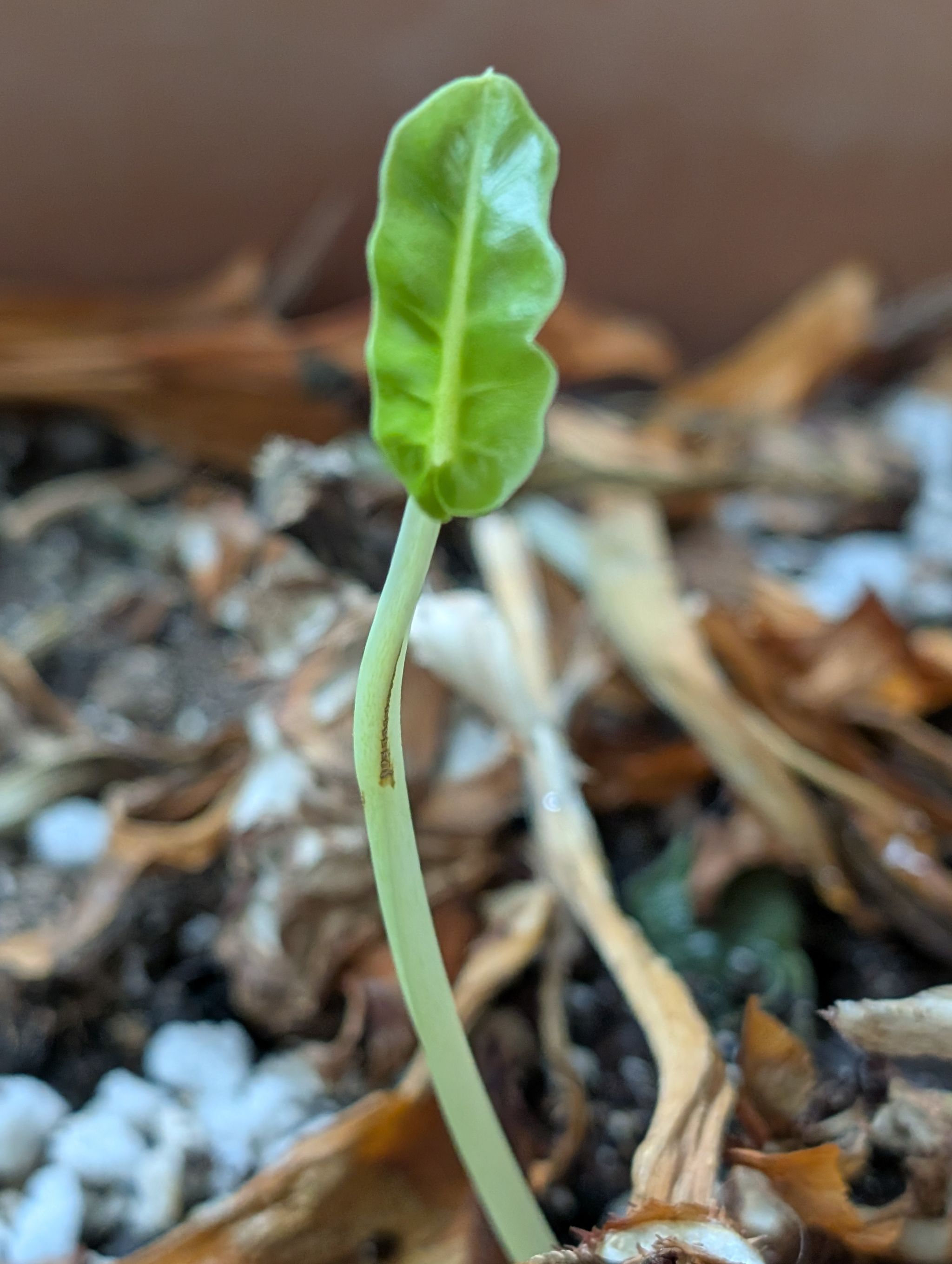 Photo from the post