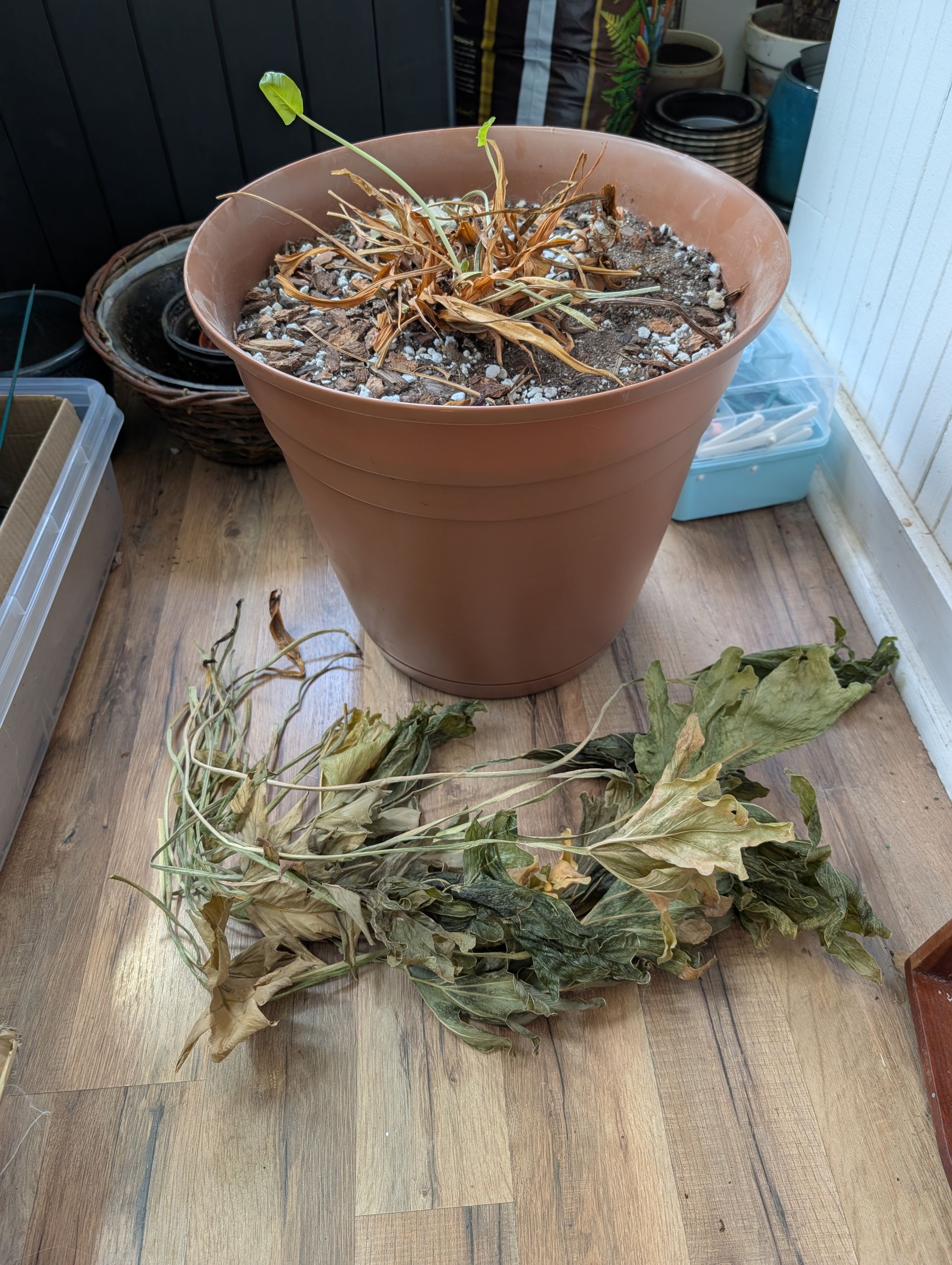 Photo from the post