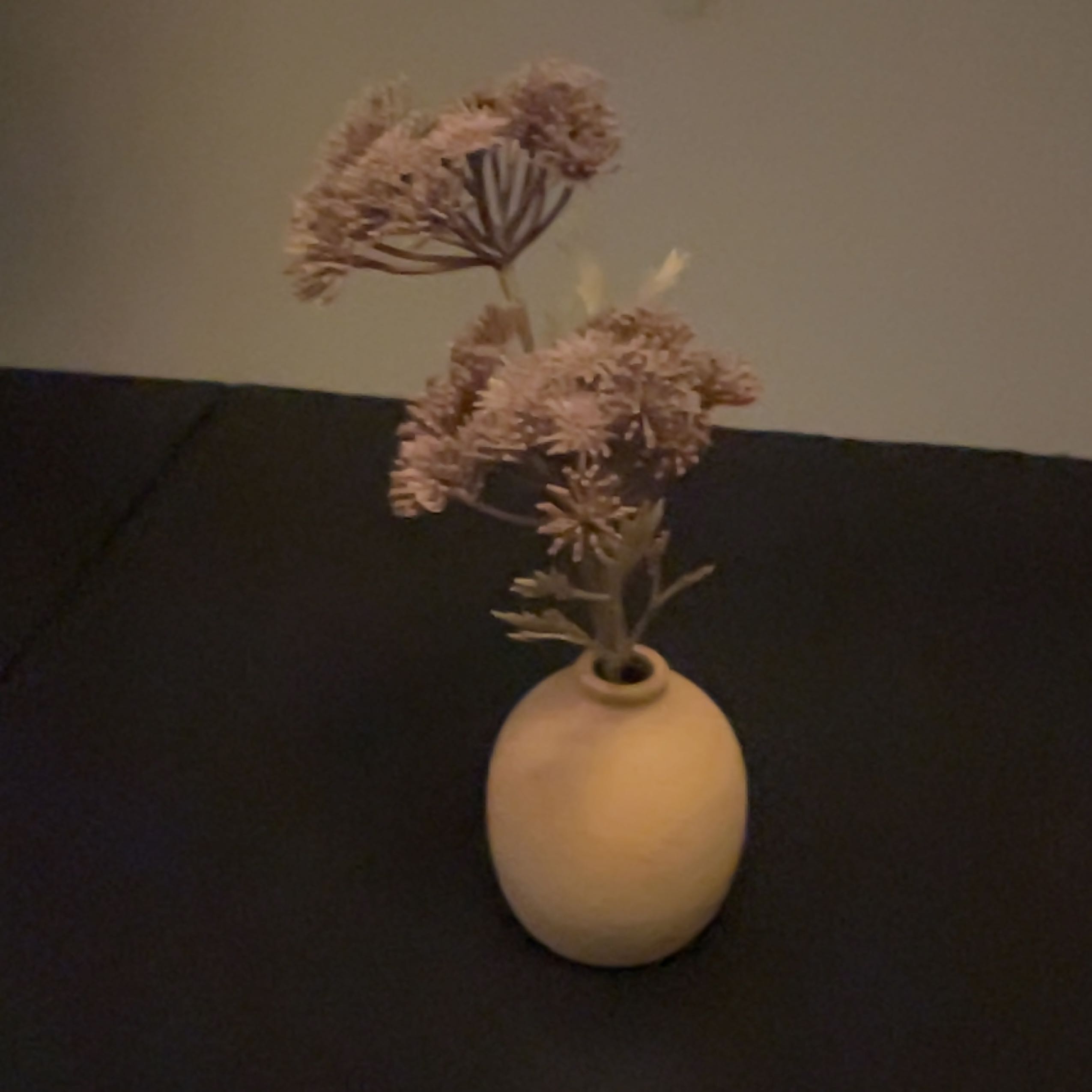 Photo of the plant species Achian-Bosk by @GoldenWhitefir named Mando on Greg, the plant care app