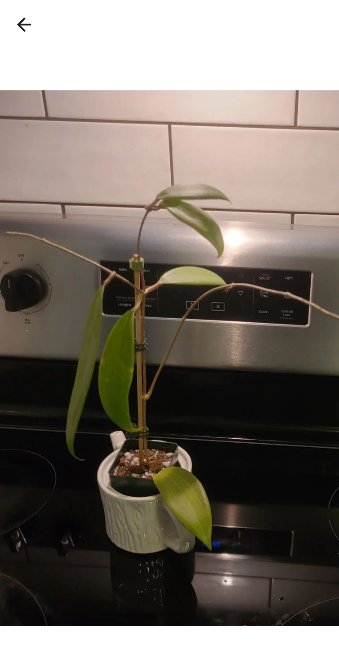 Photo from the post