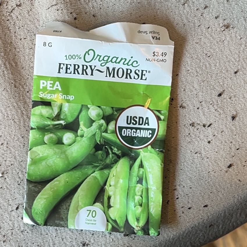 Photo of the plant species Pea by @VastWoollyrose named Luna on Greg, the plant care app