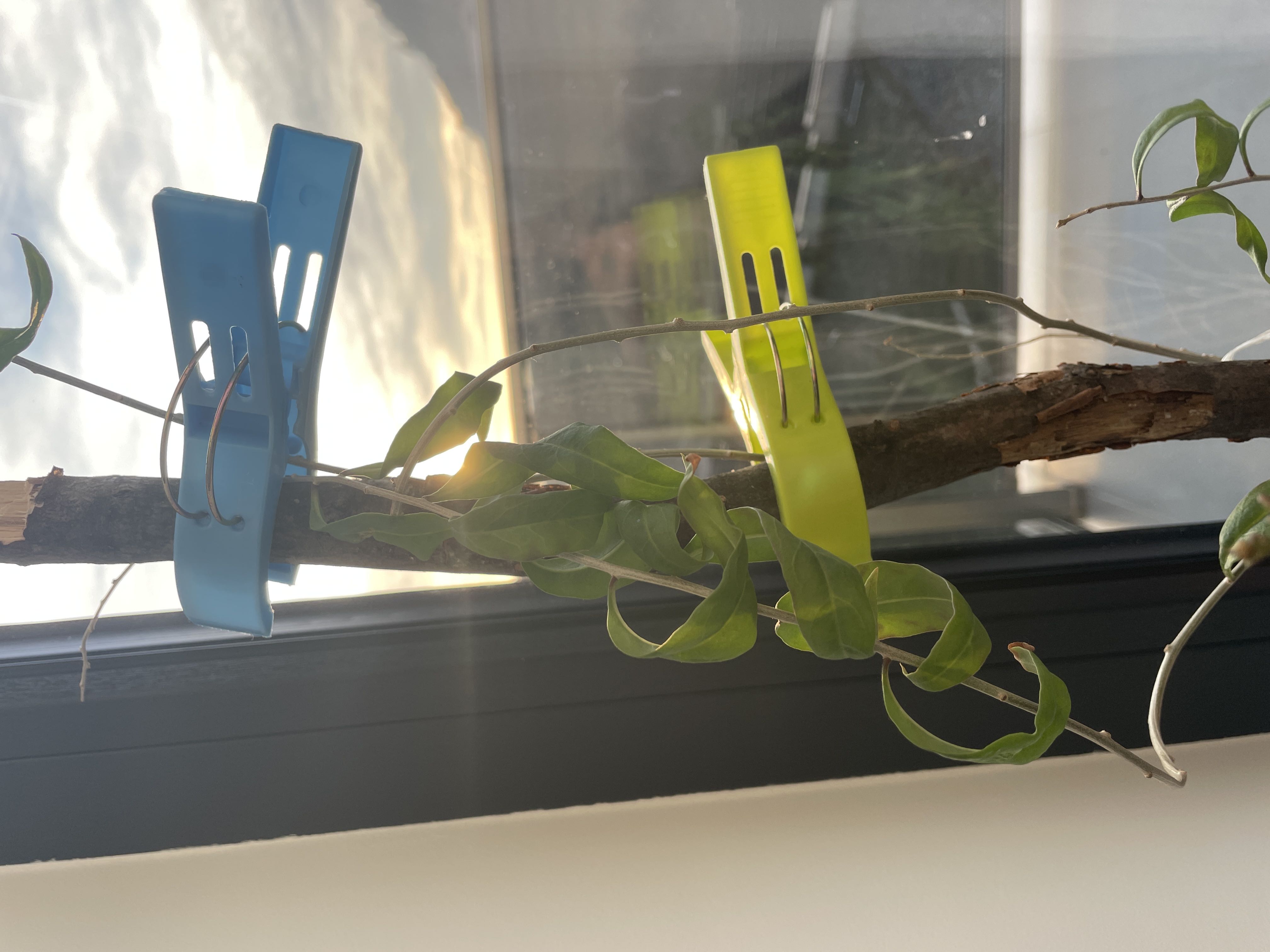 Photo from the post