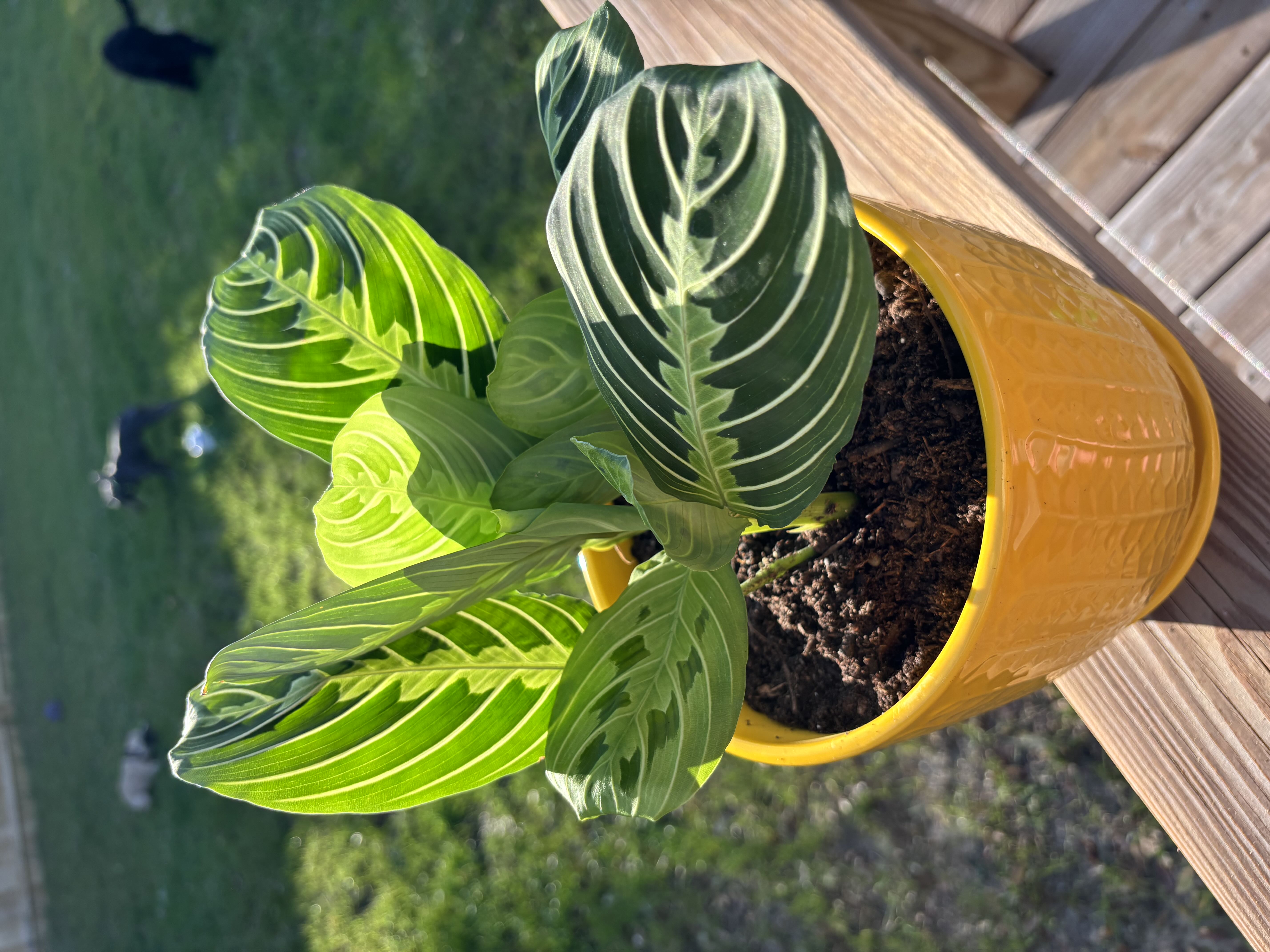 Photo from the post