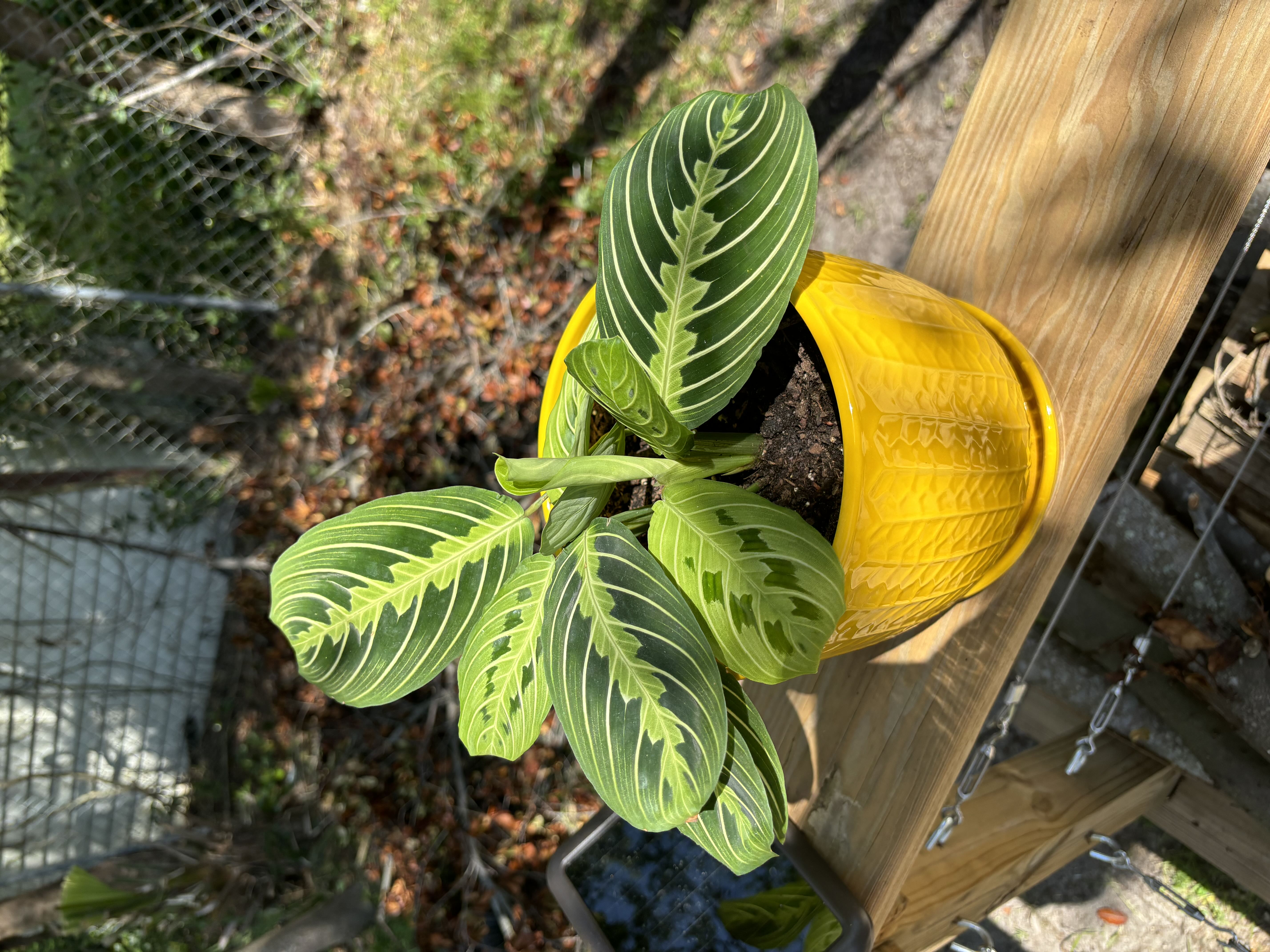 Photo from the post