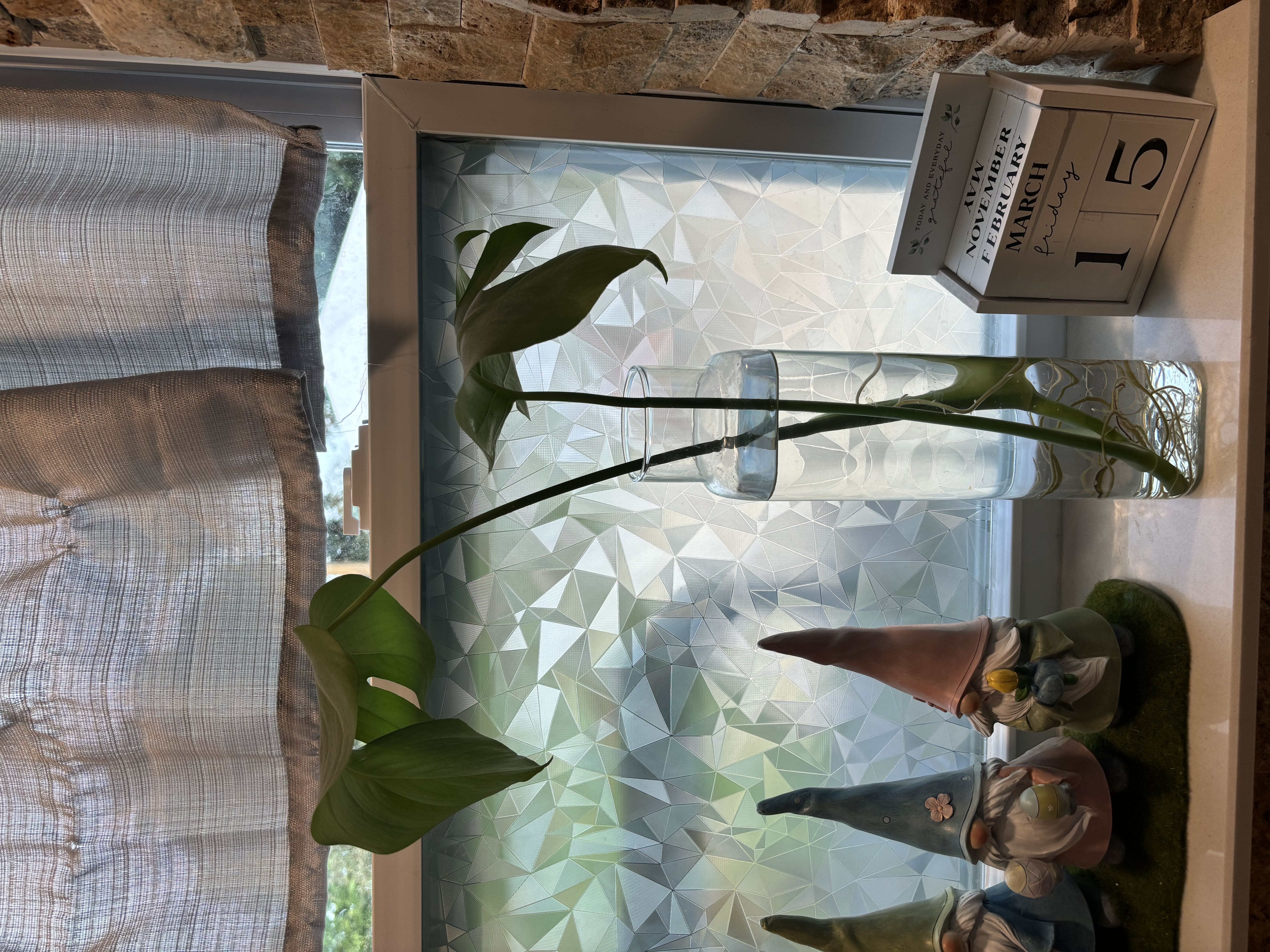 Photo from the post