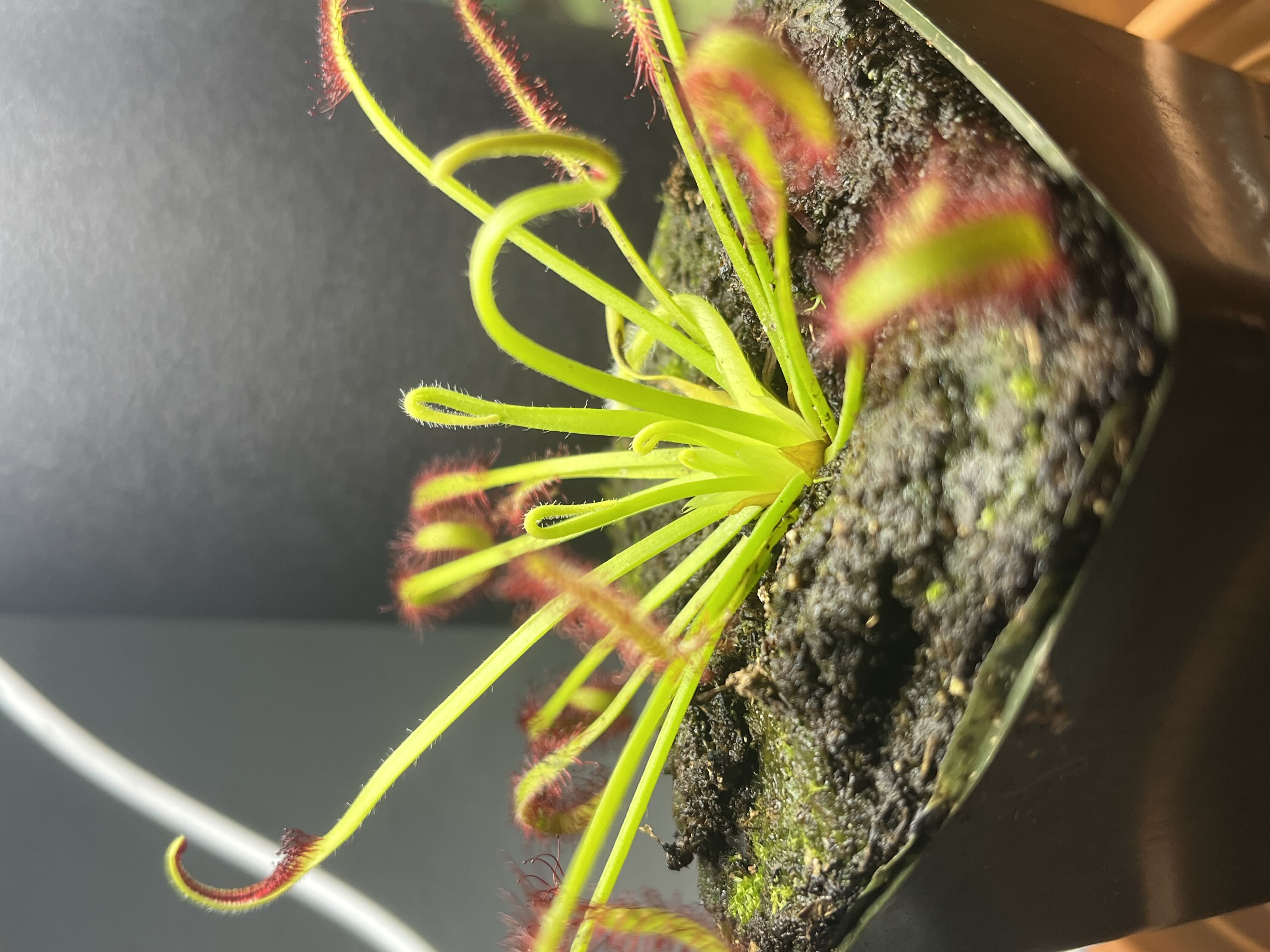 Photo from the post