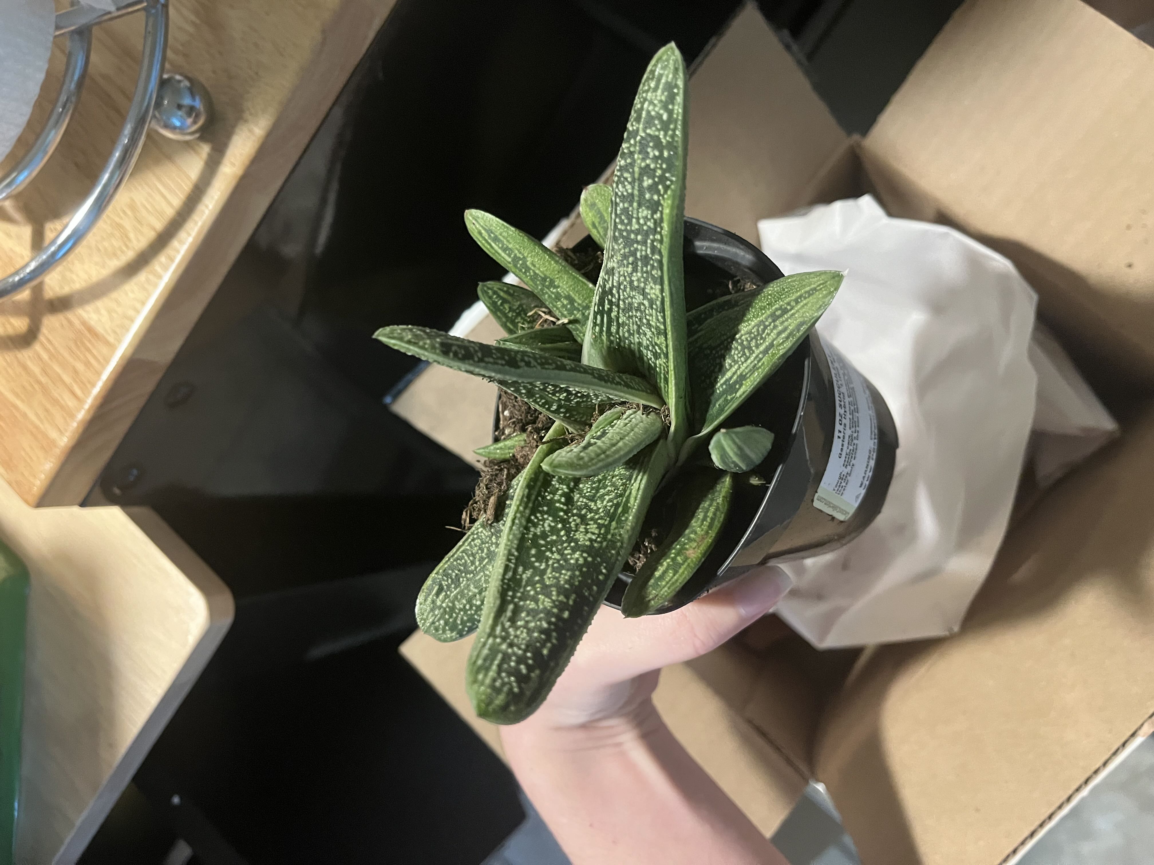 Photo from the post