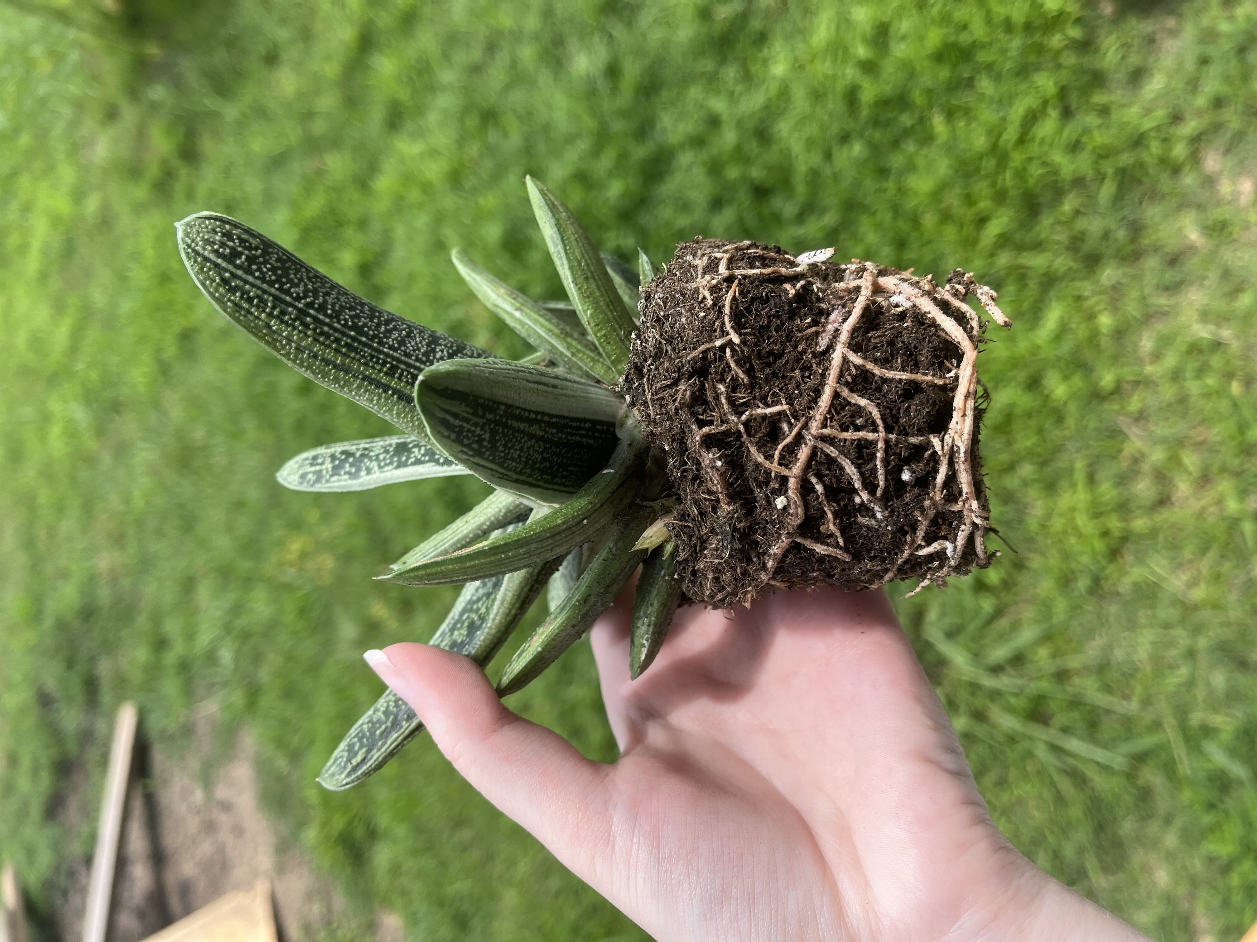 Photo from the post