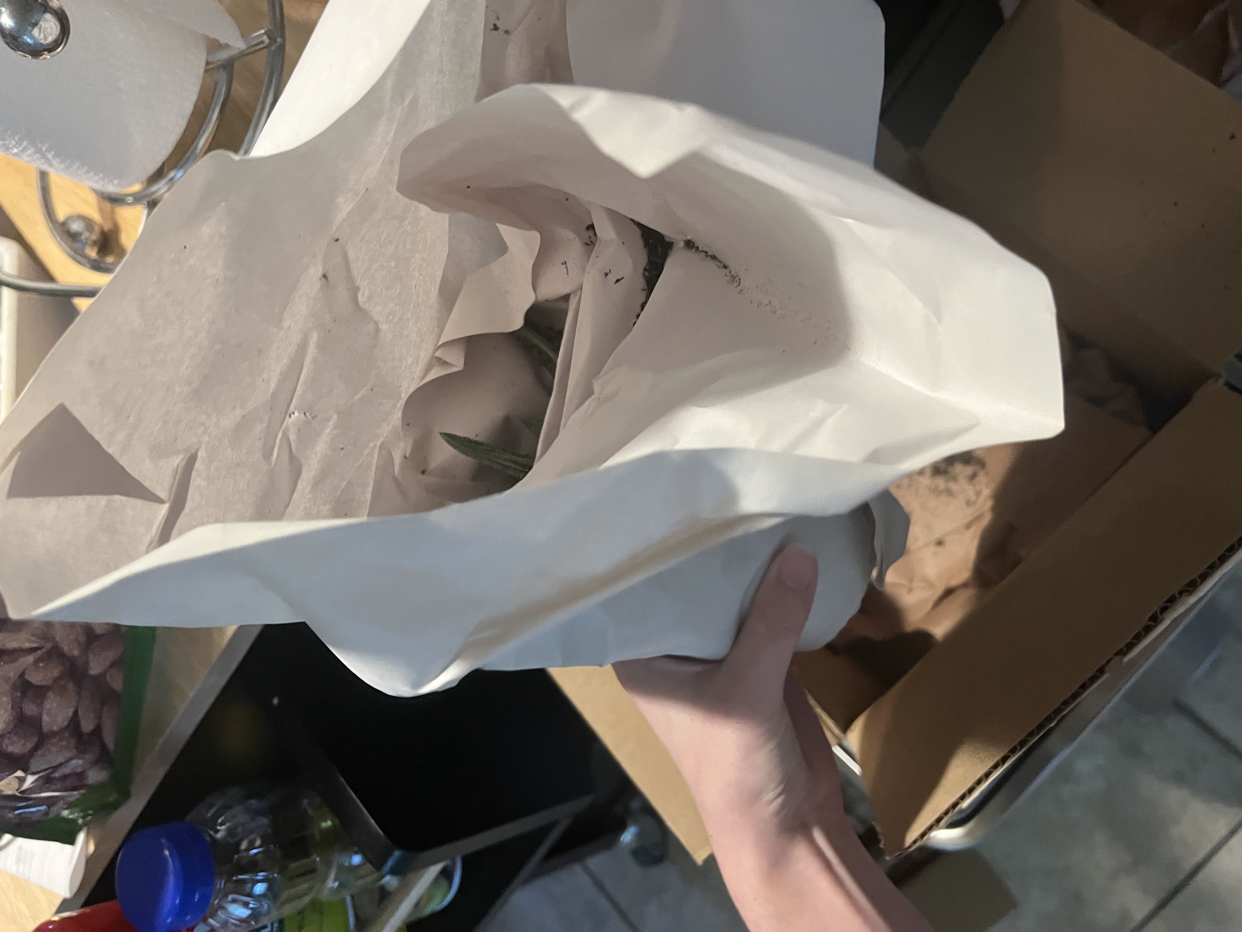 Photo from the post